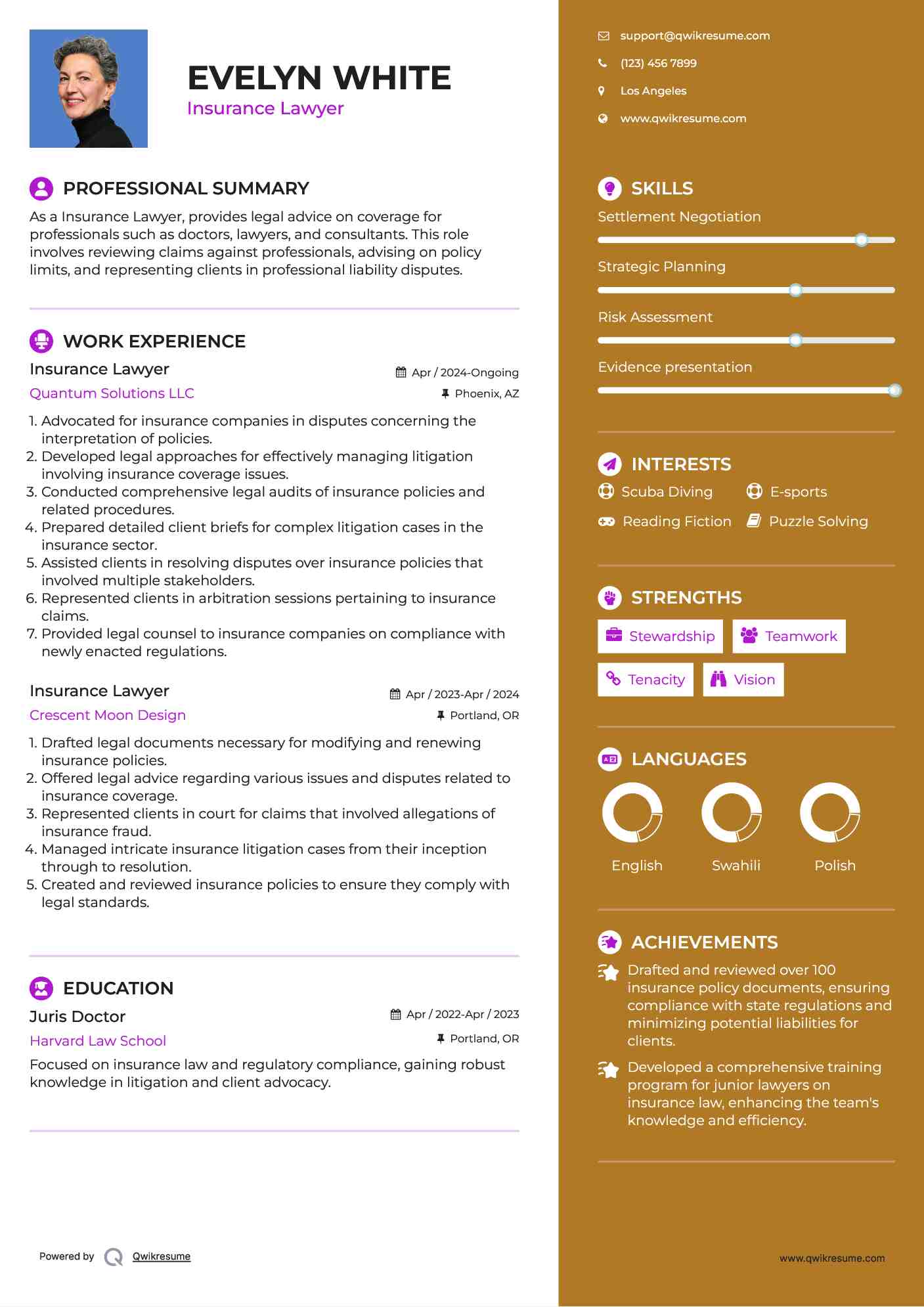 Insurance Lawyer Resume Template