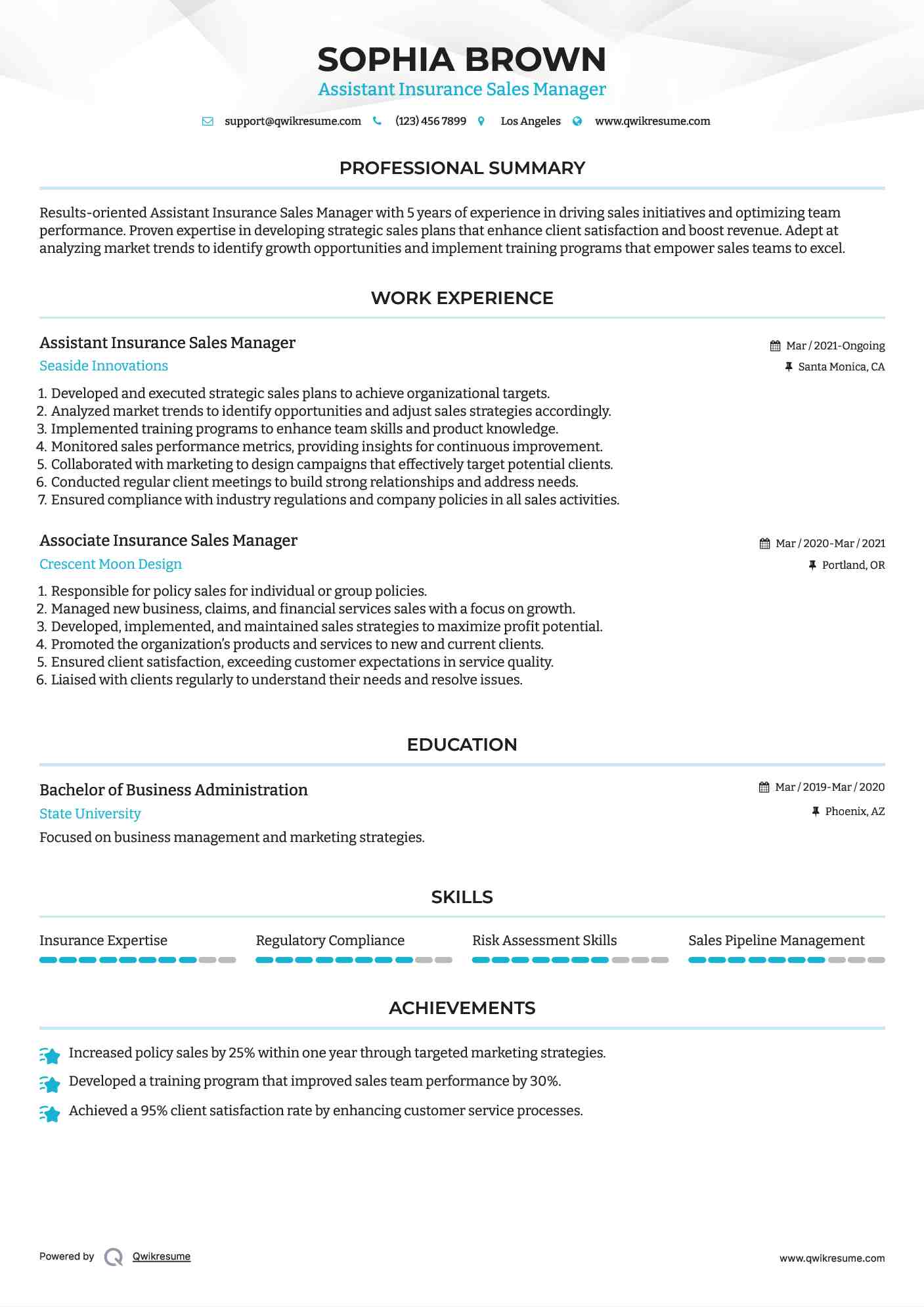 Assistant Insurance Sales Manager Resume Example