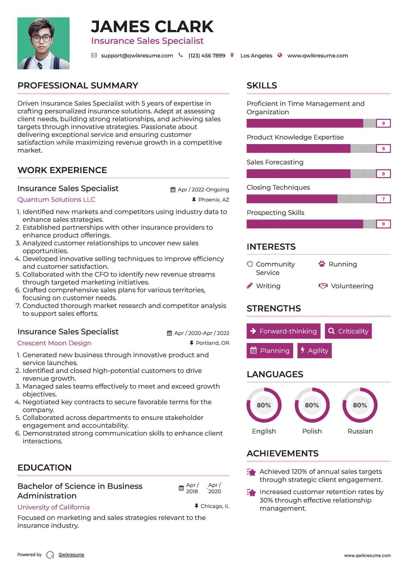 Insurance Sales Specialist Resume Example