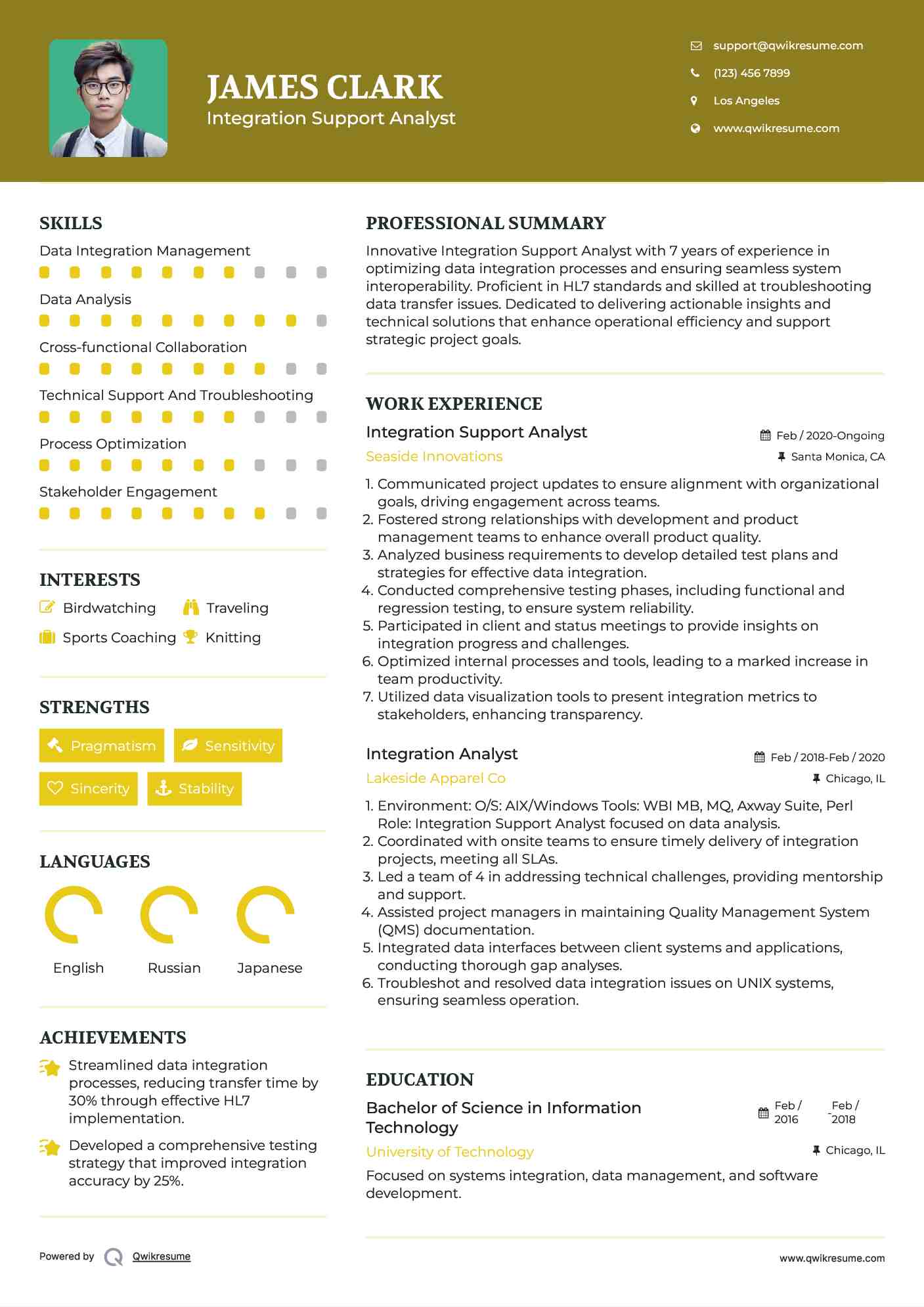 Integration Support Analyst Resume Format