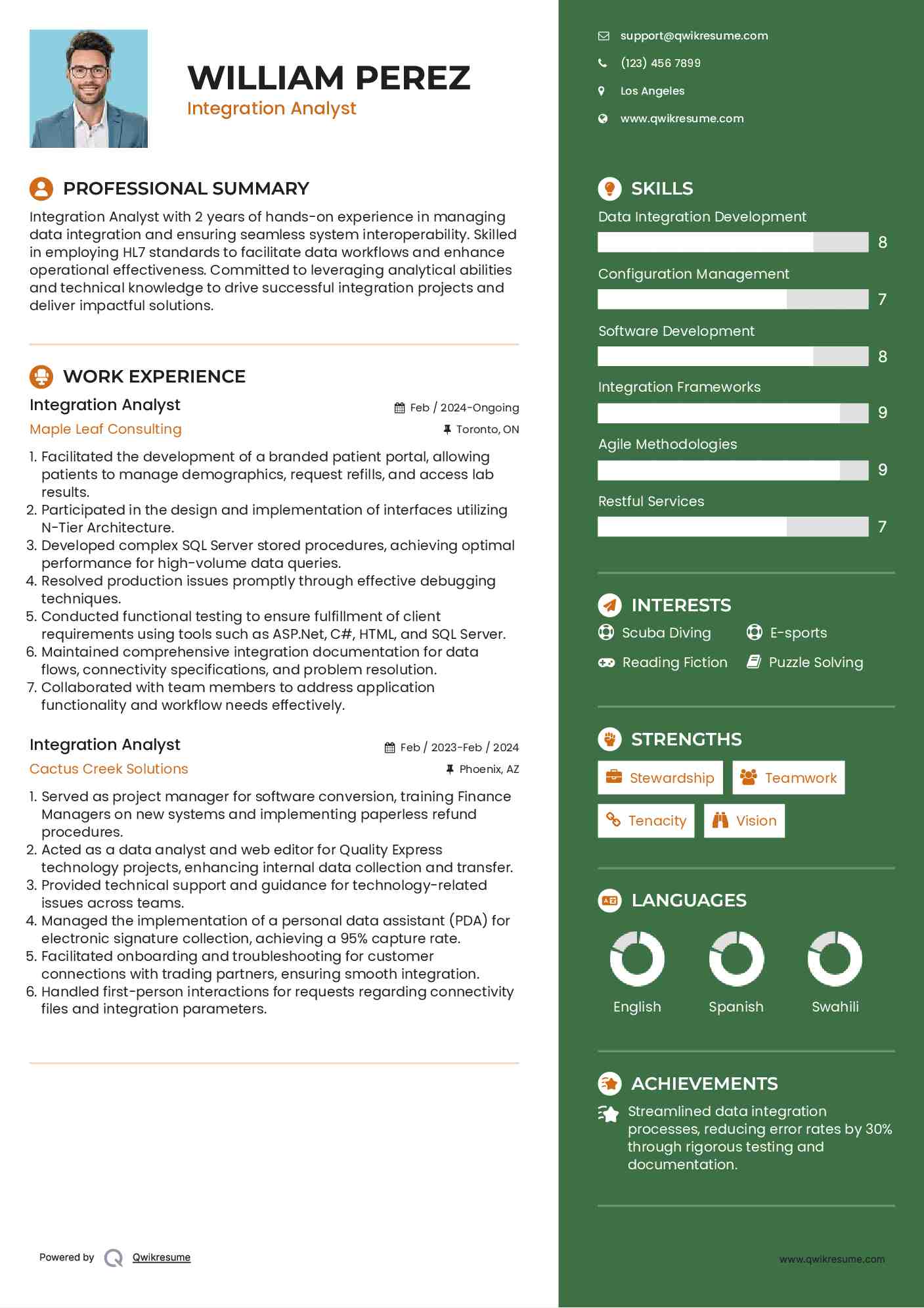 Integration Analyst Resume Template
