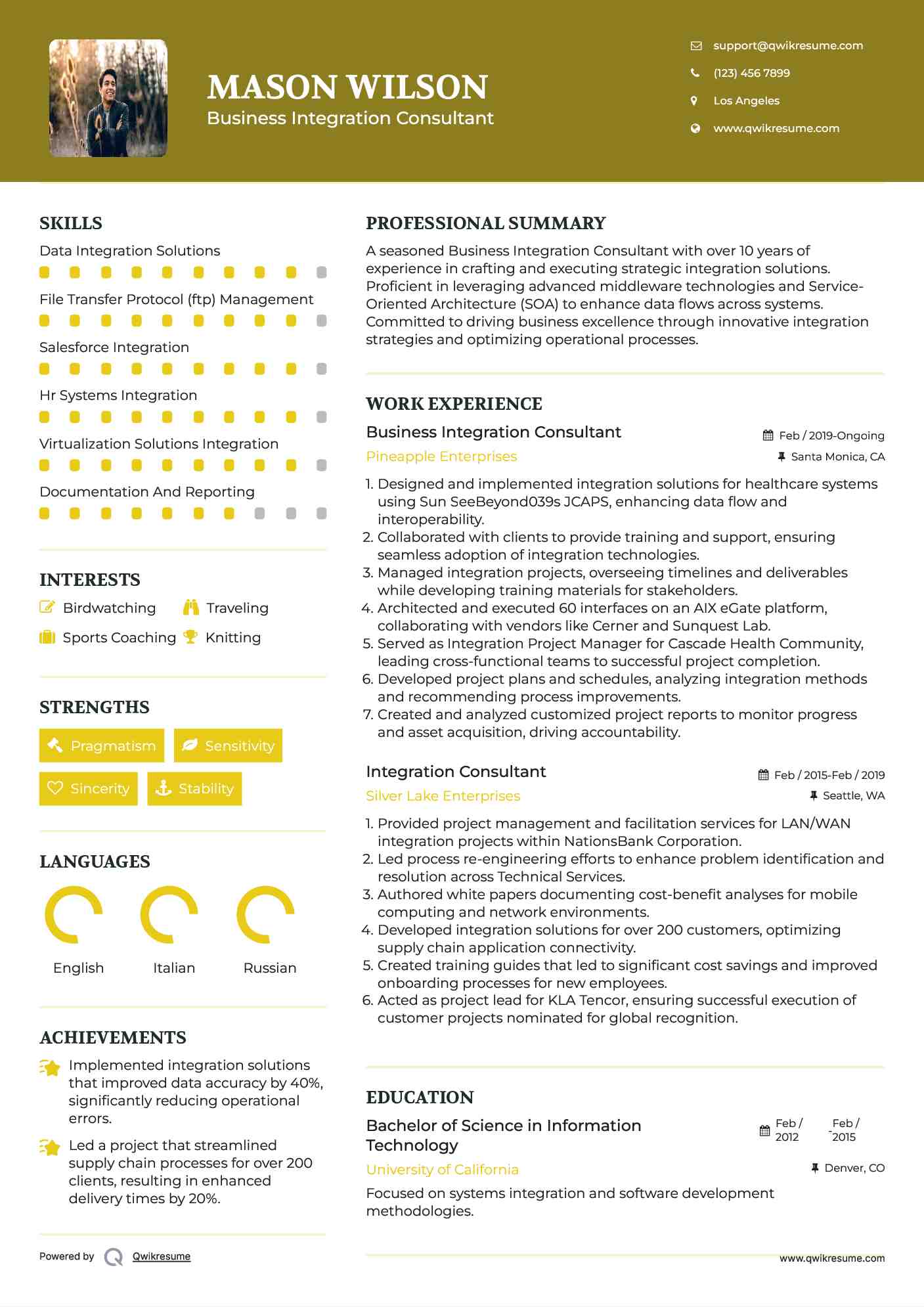 Business Integration Consultant Resume Template