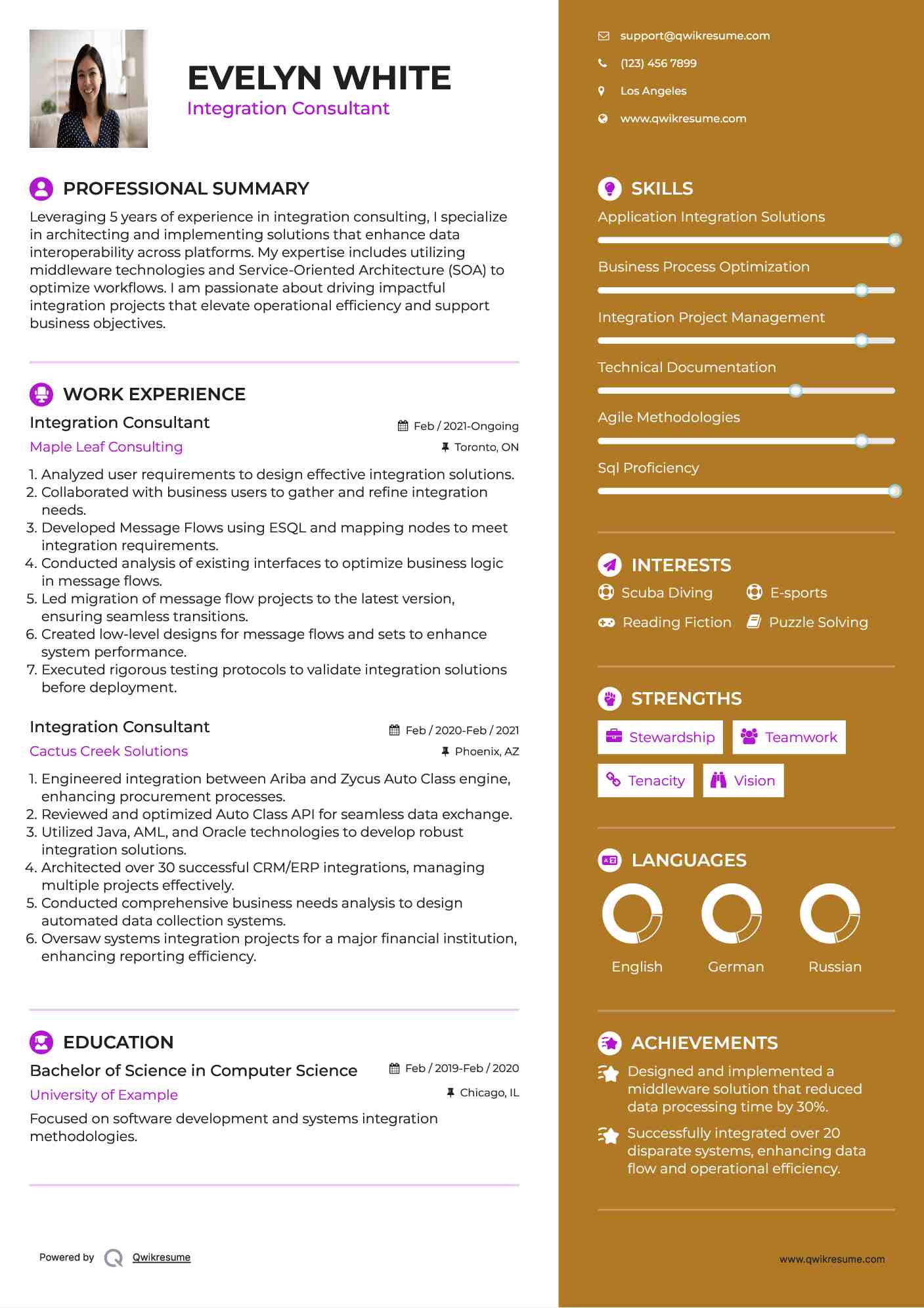 Integration Consultant Resume Sample