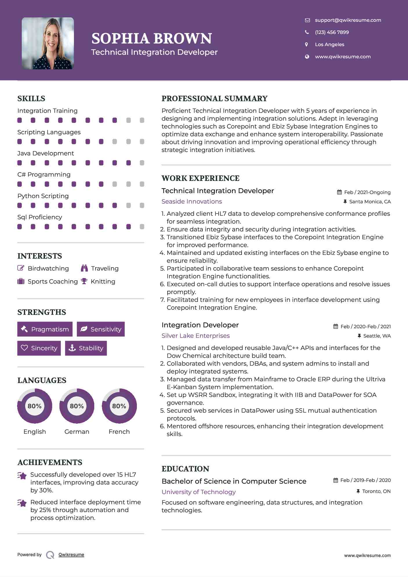 Technical Integration Developer Resume Template