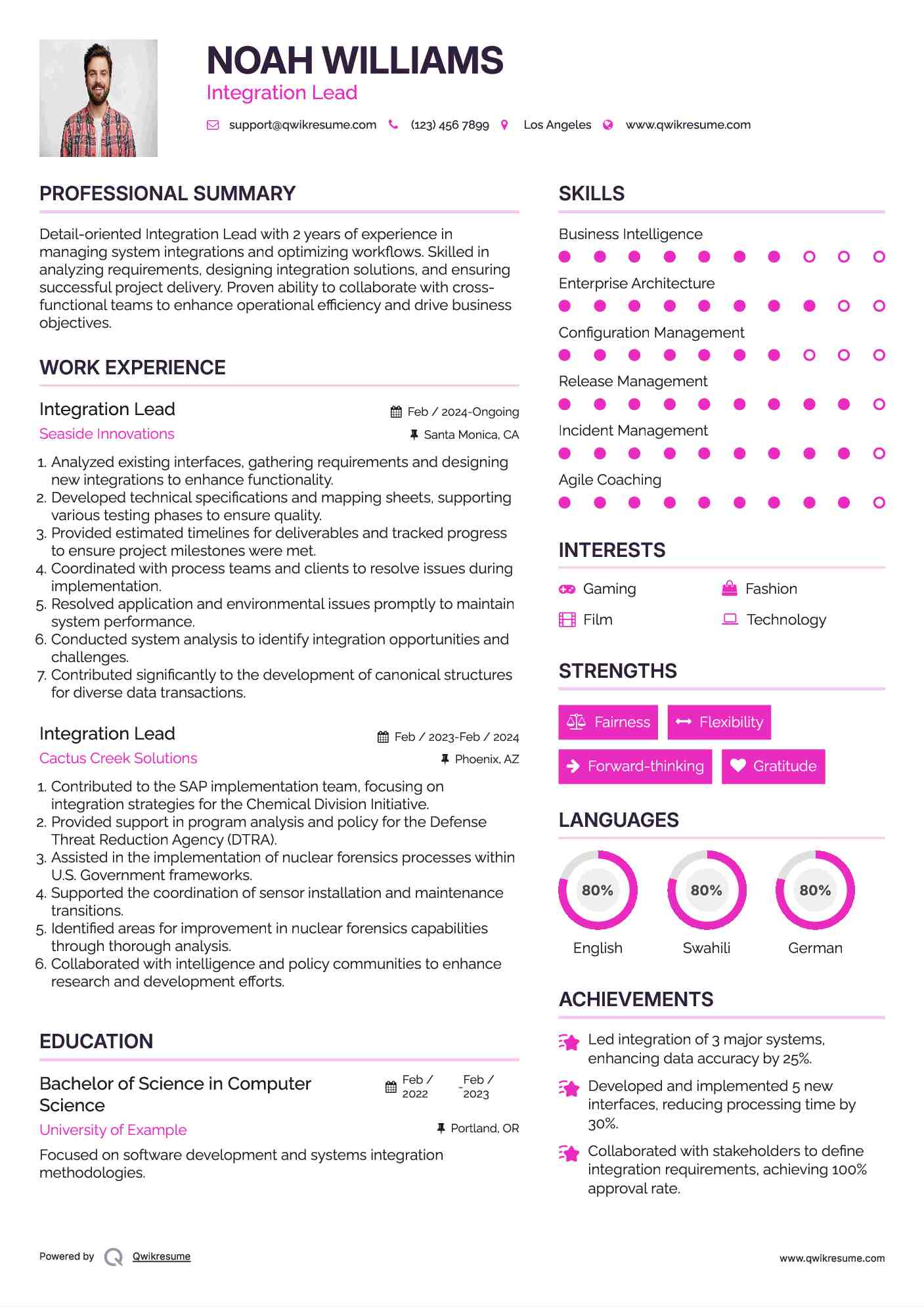 Integration Lead Resume Model
