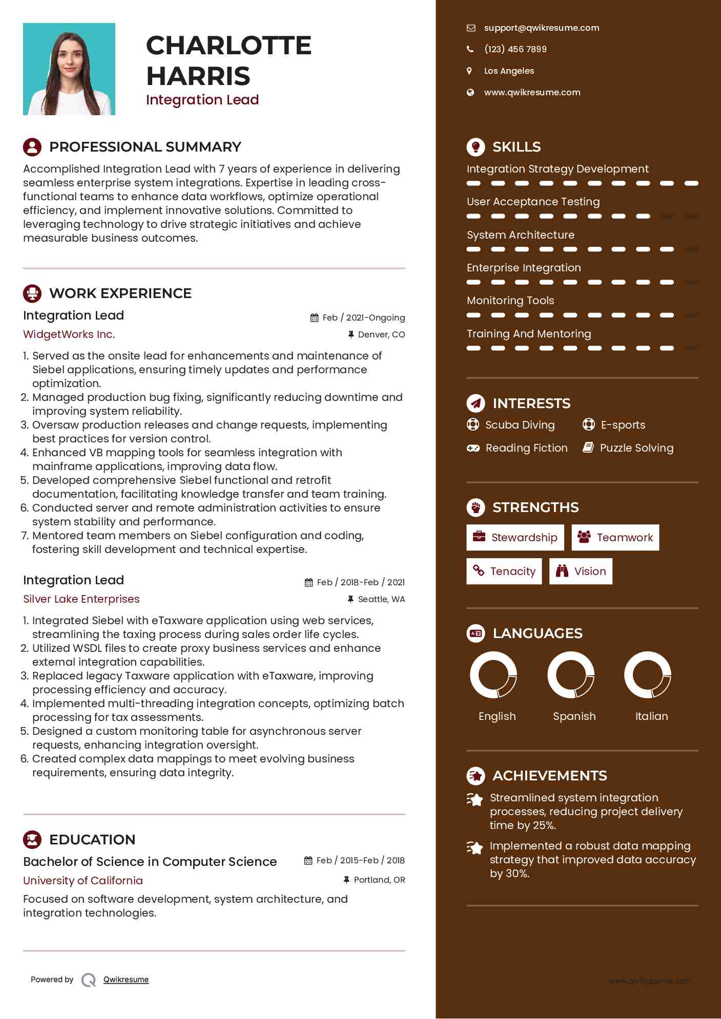 Integration Lead Resume Model
