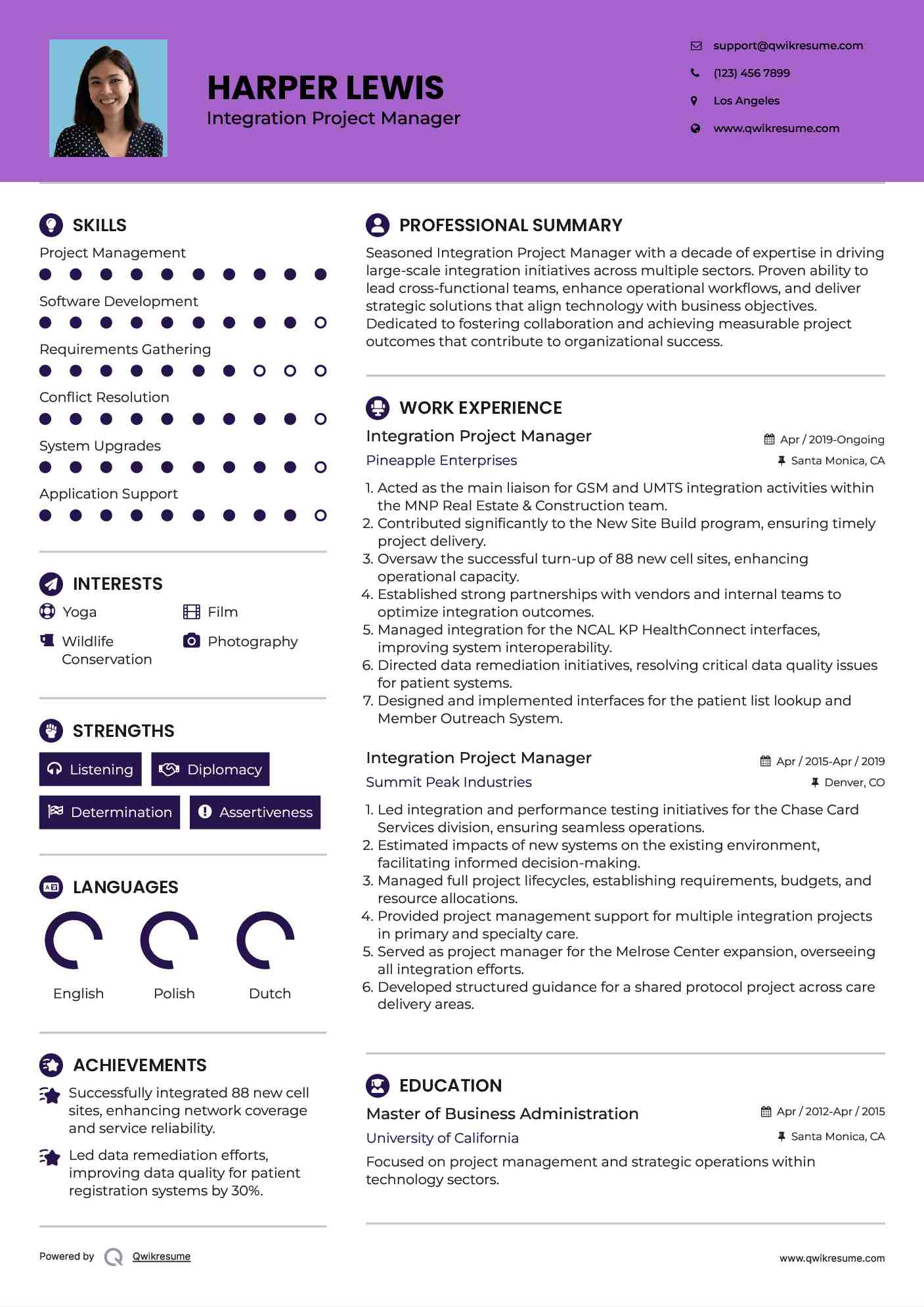 Integration Project Manager Resume Sample