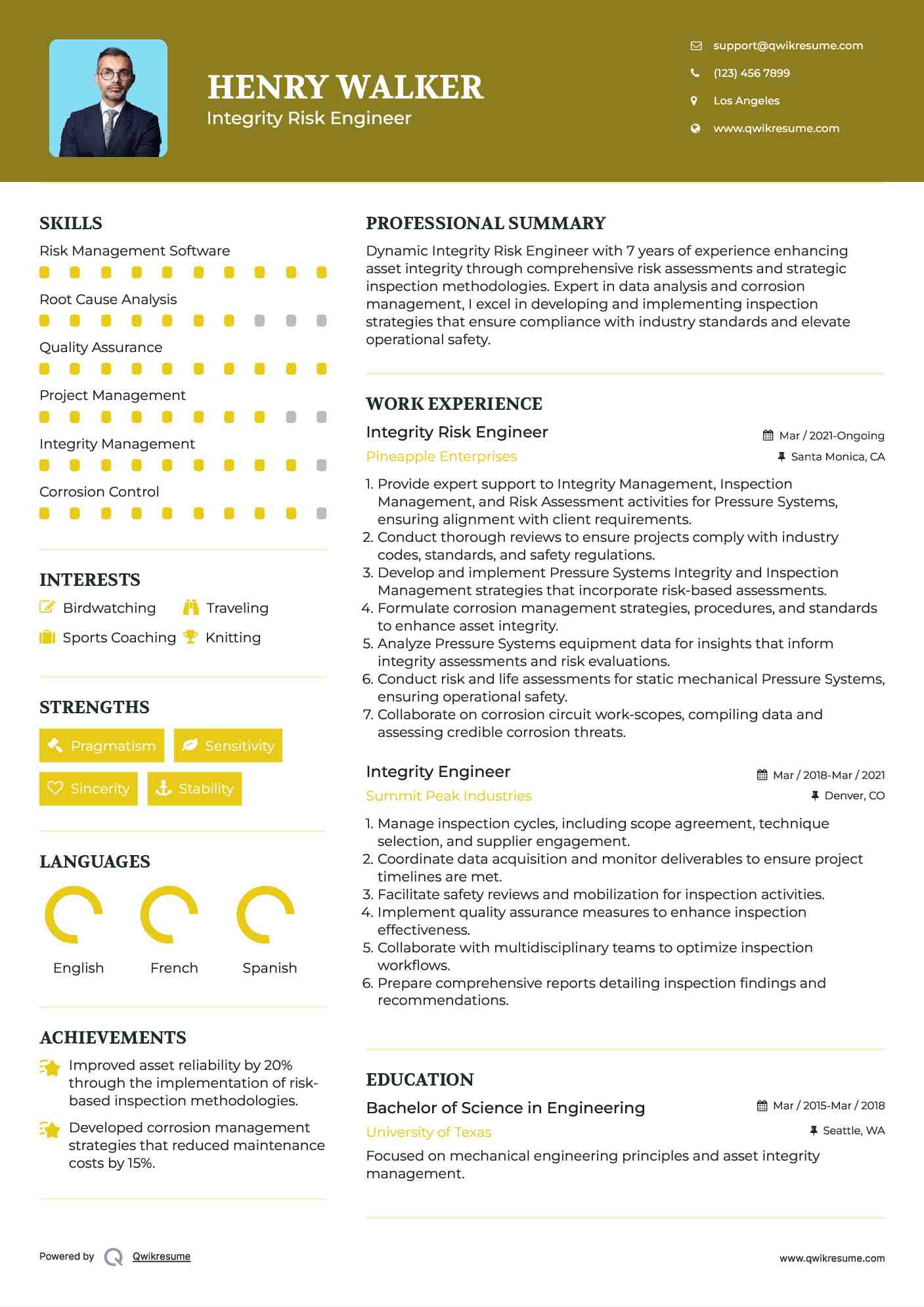 Integrity Risk Engineer Resume Template