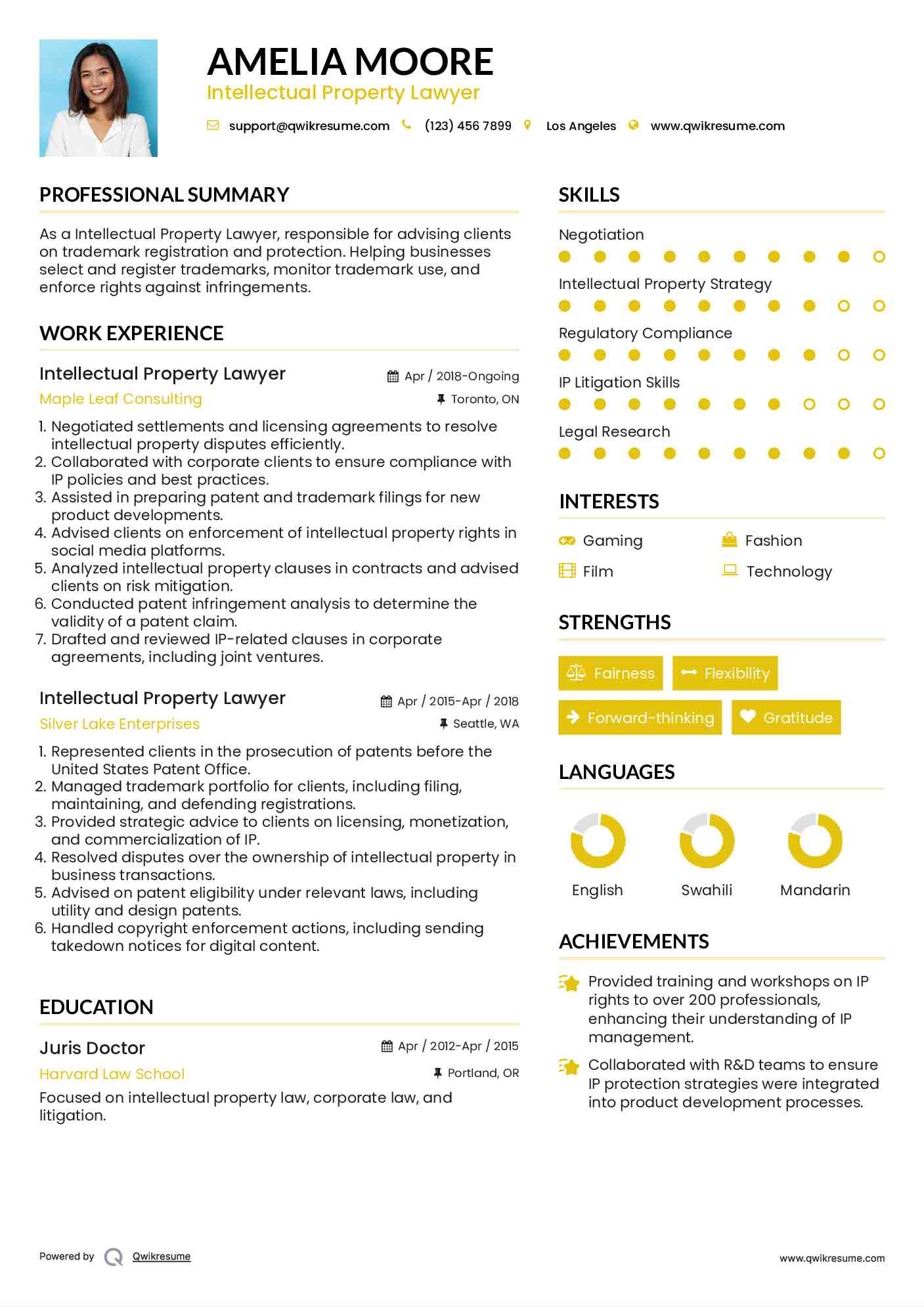 Intellectual Property Lawyer Resume Format