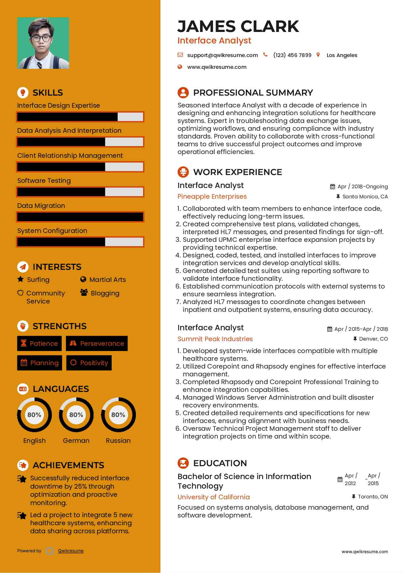 Interface Analyst Resume Sample