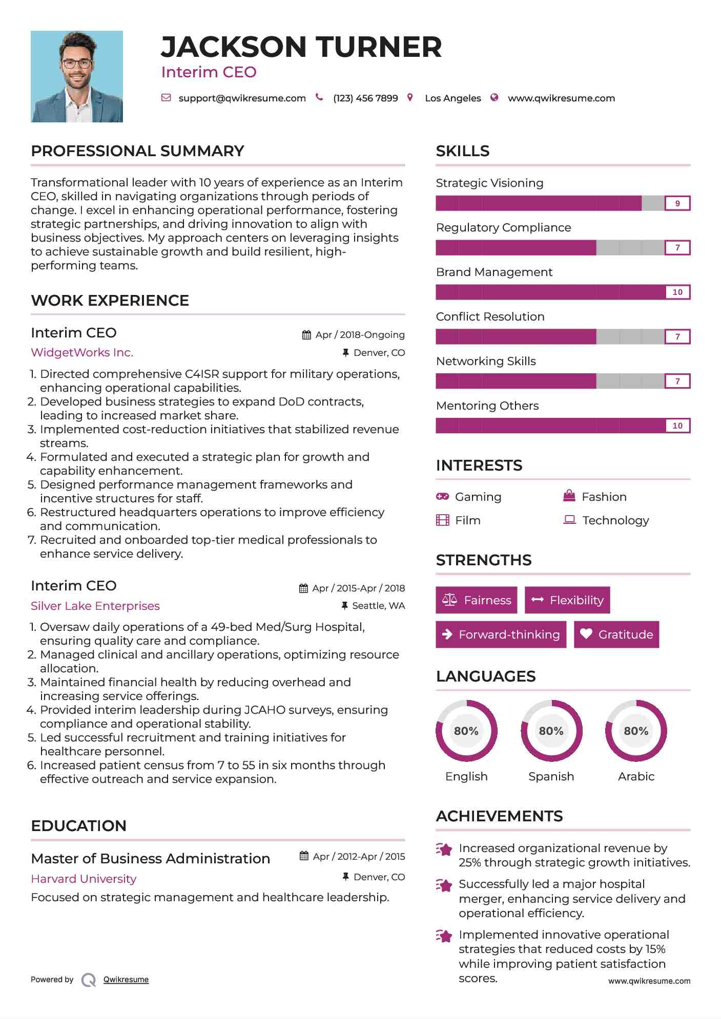 Interim CEO Resume Model