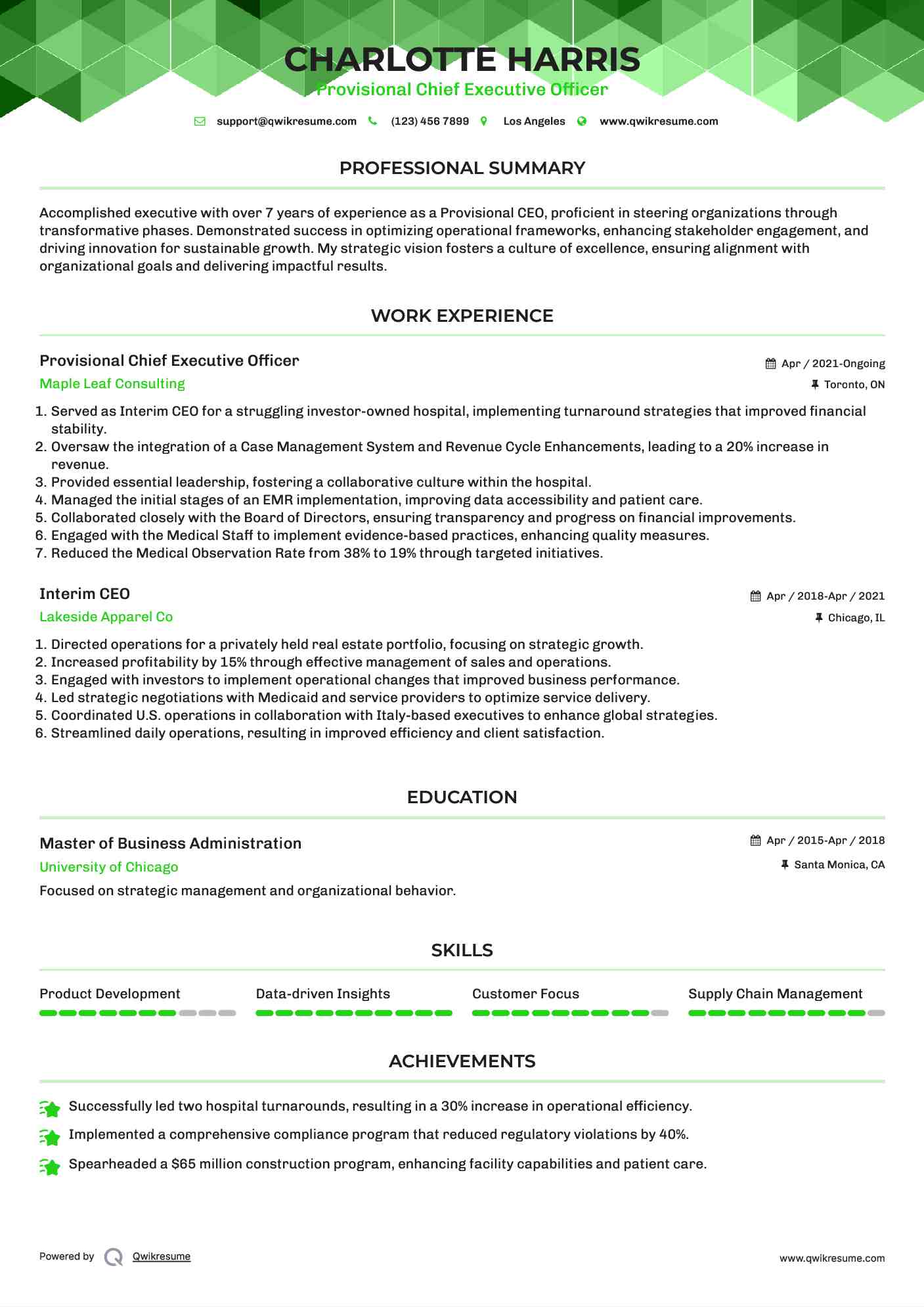 Provisional Chief Executive Officer Resume Template