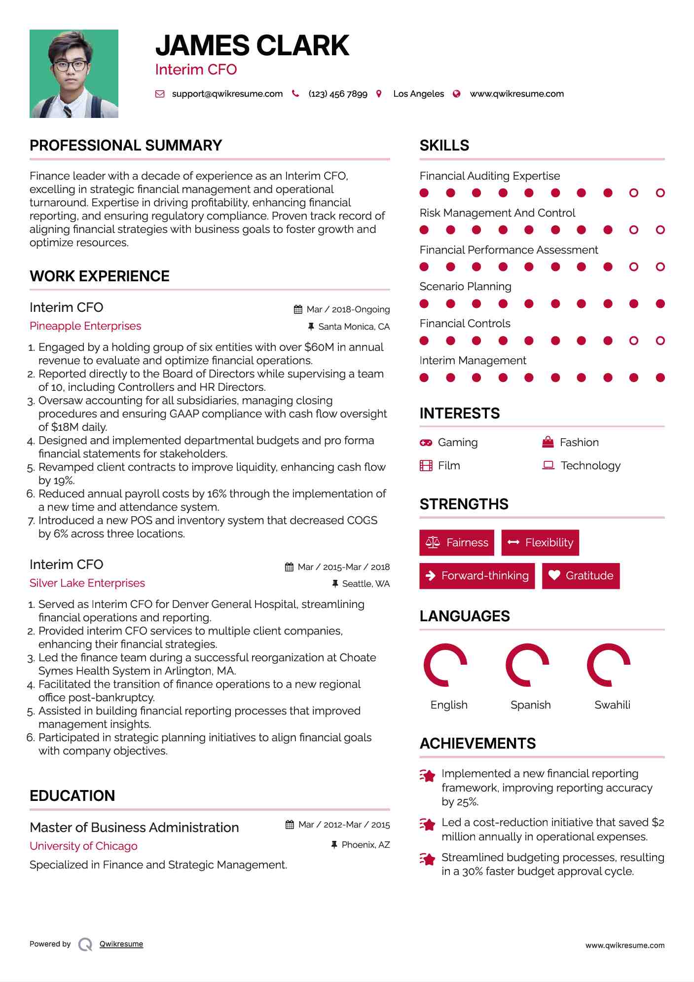 Interim CFO Resume Format