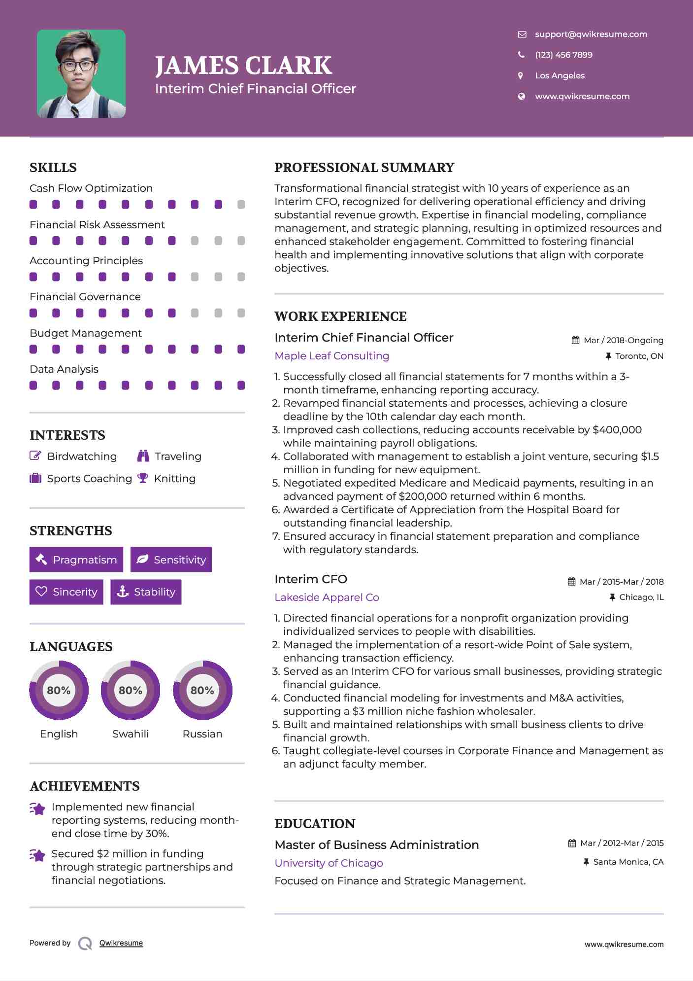 Interim Chief Financial Officer Resume Model