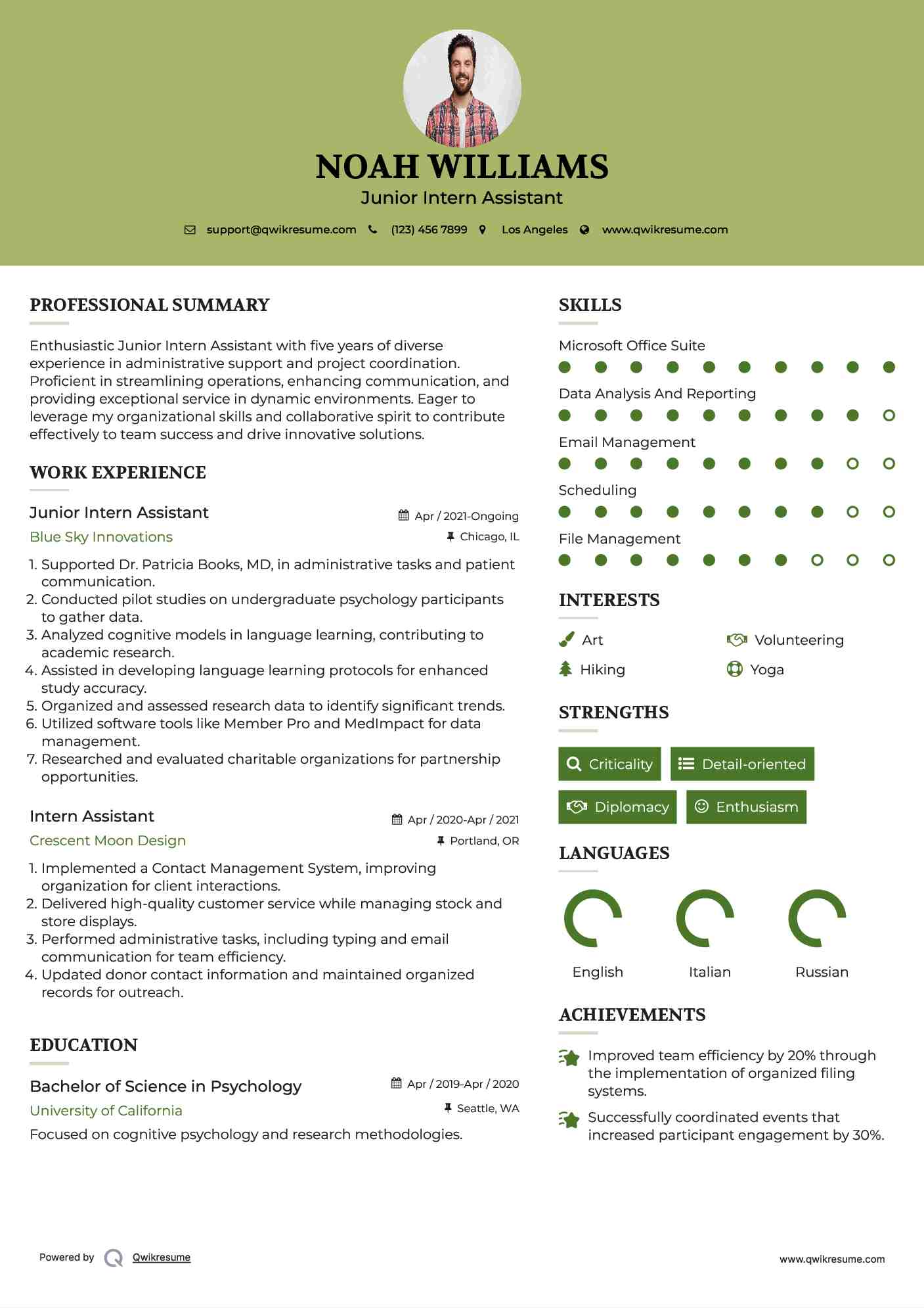 Junior Intern Assistant Resume Example