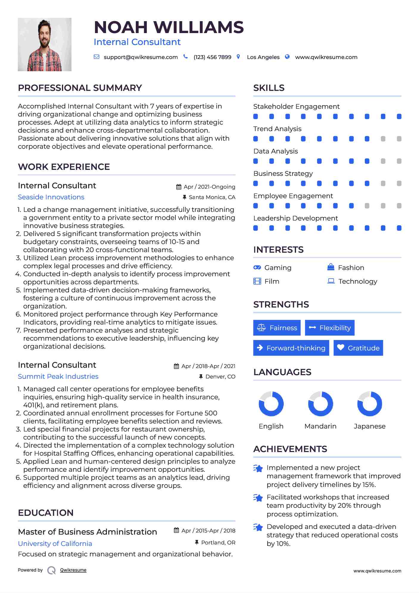 Internal Consultant Resume Format