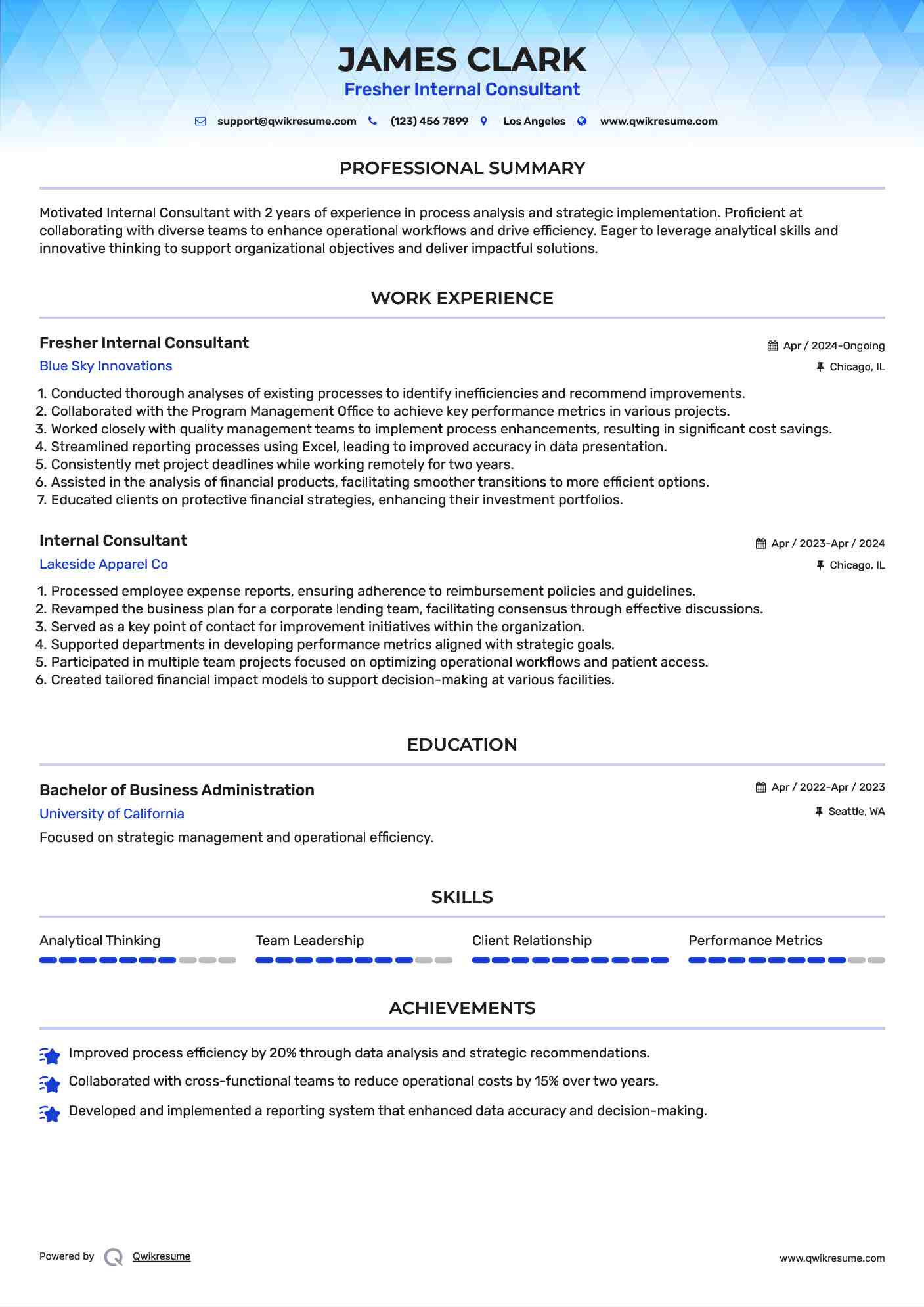 Fresher Internal Consultant Resume Model