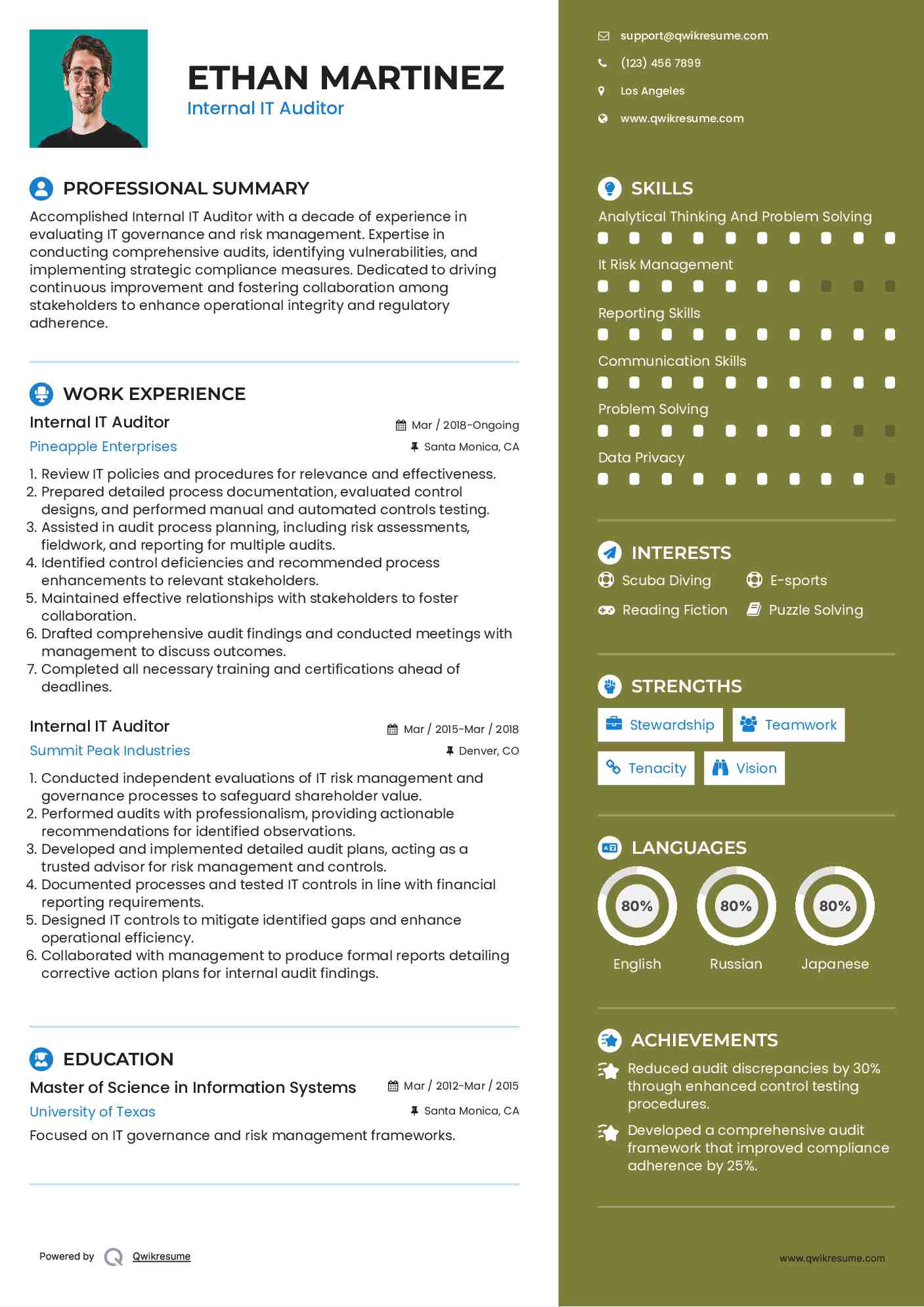 Internal IT Auditor Resume Example
