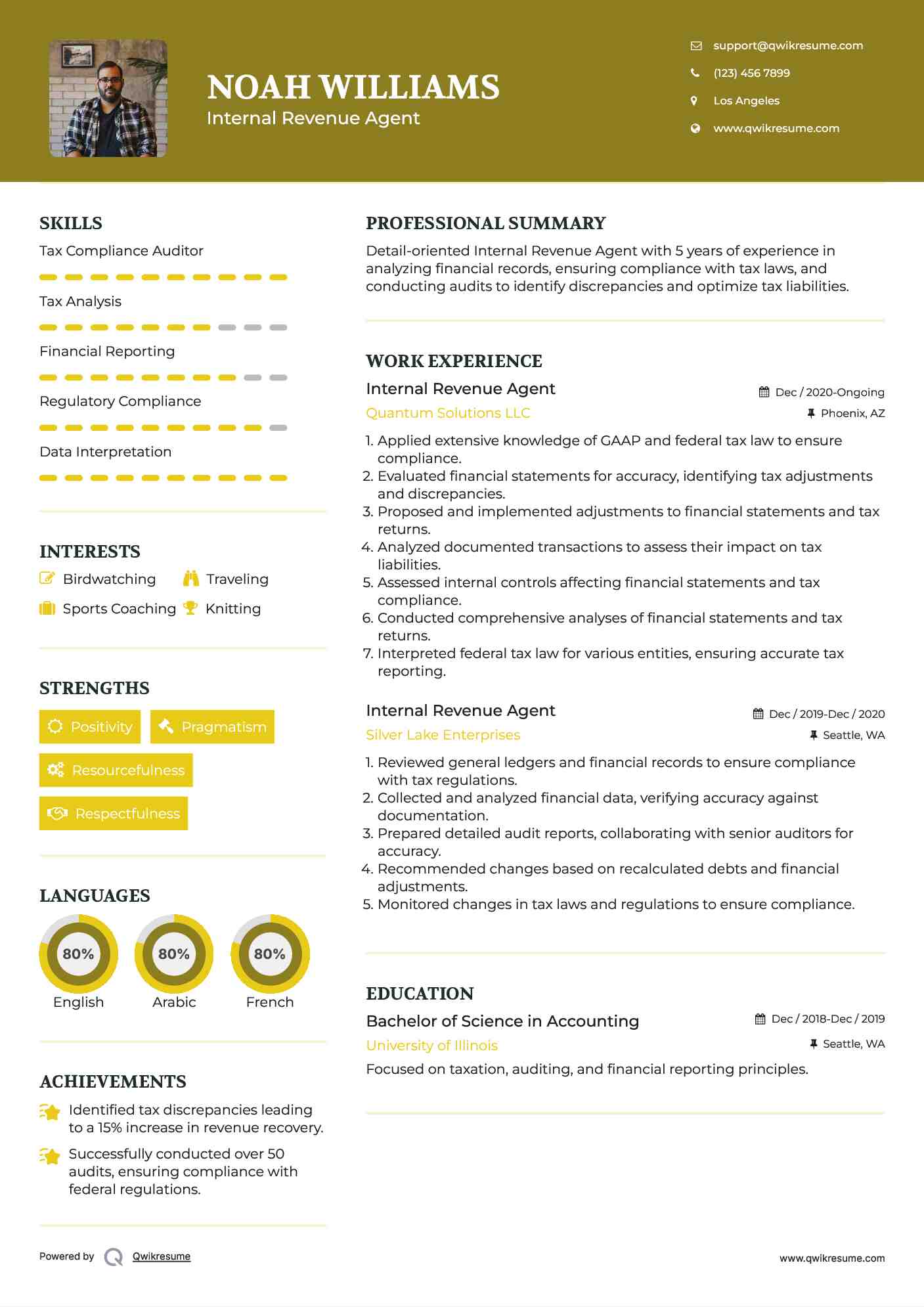 Internal Revenue Agent Resume Template