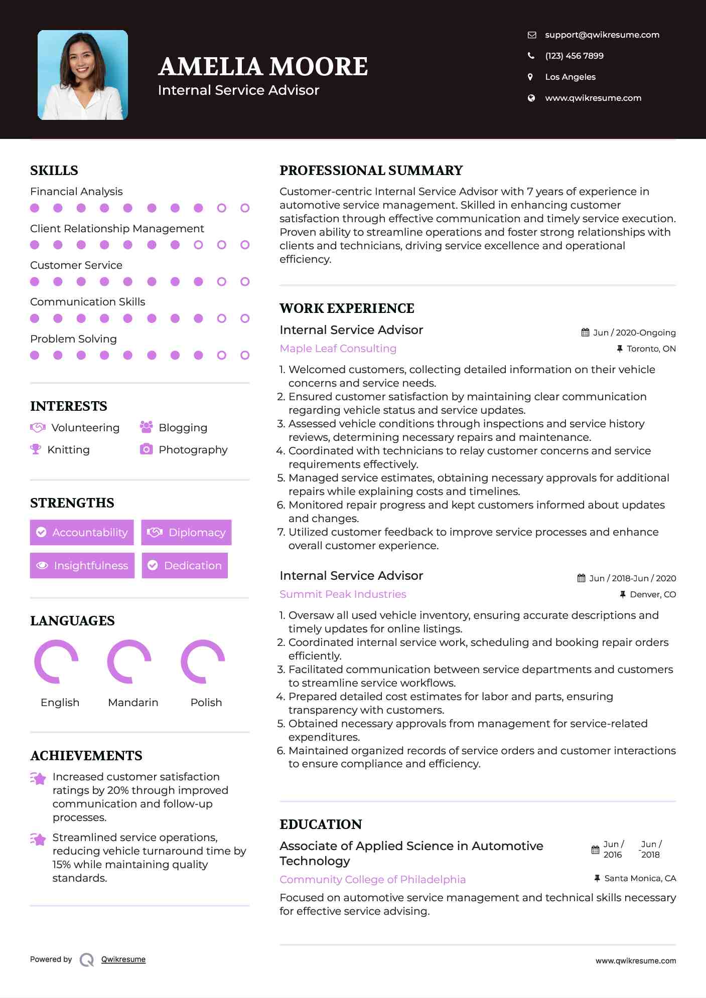 Internal Service Advisor Resume Model