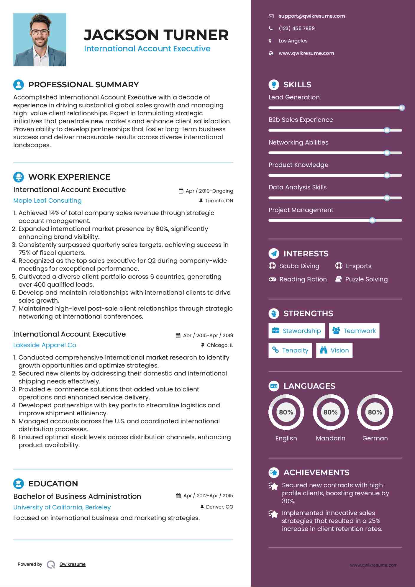 International Account Executive Resume Example