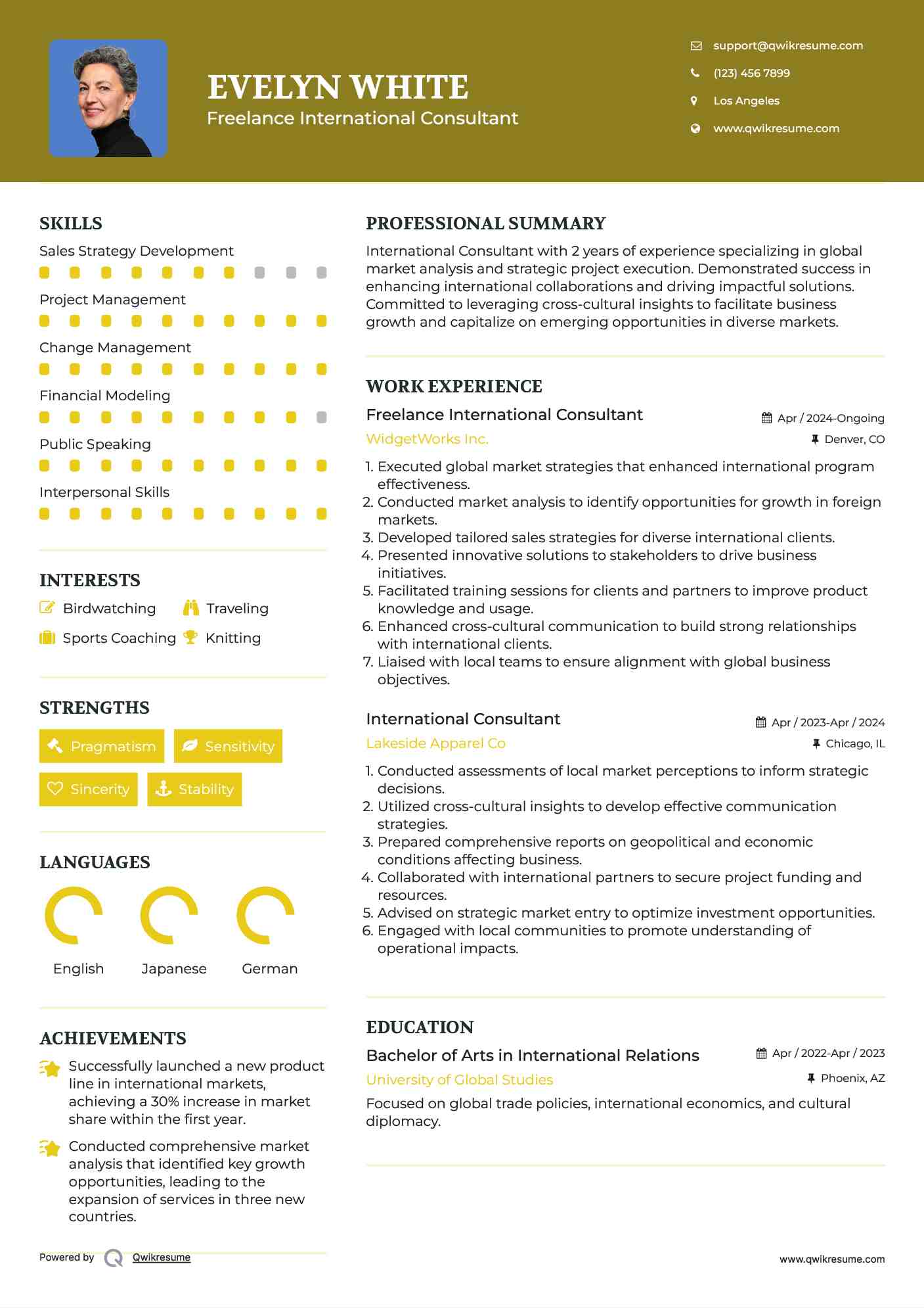 Freelance International Consultant Resume Example