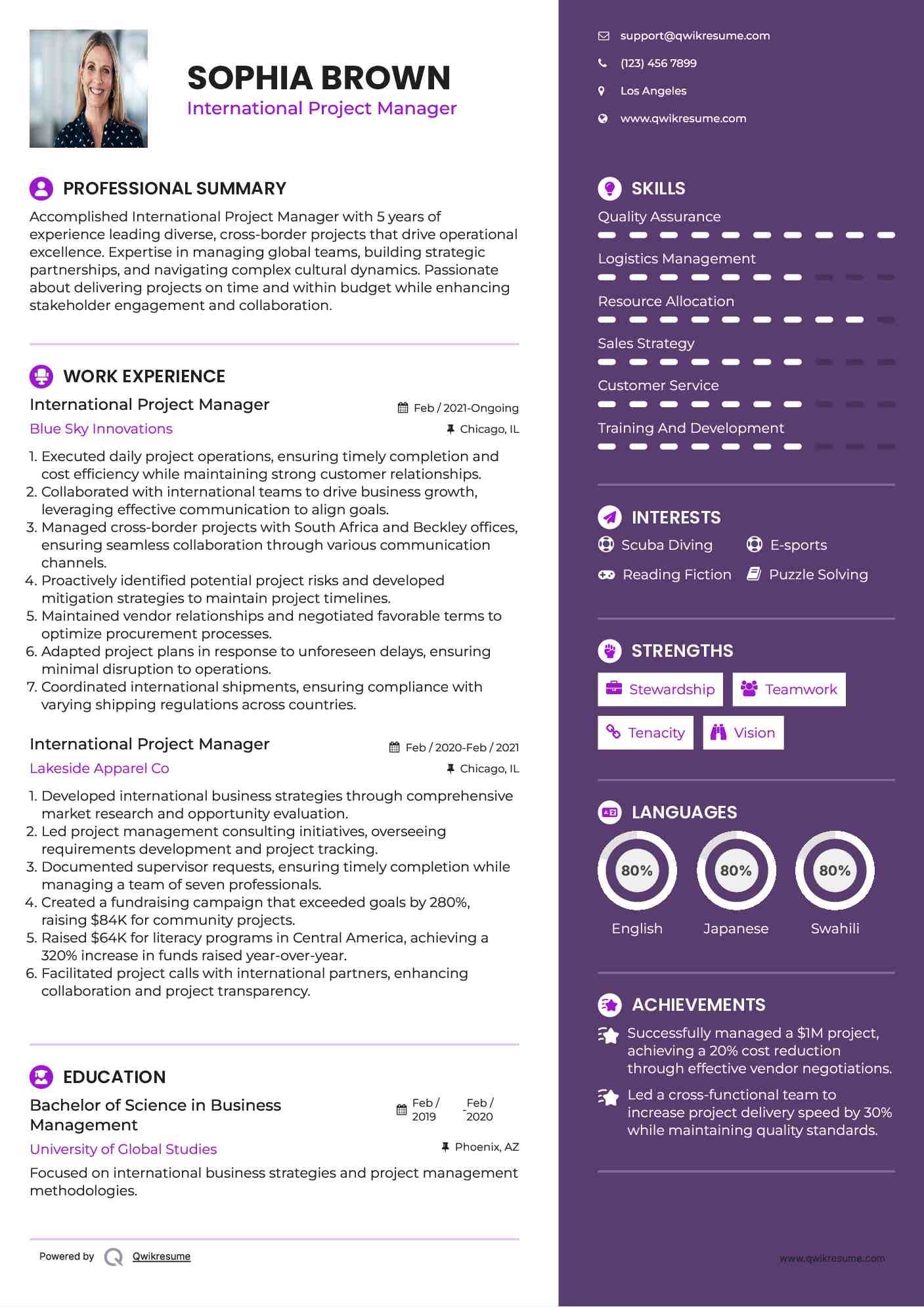 International Project Manager Resume Model