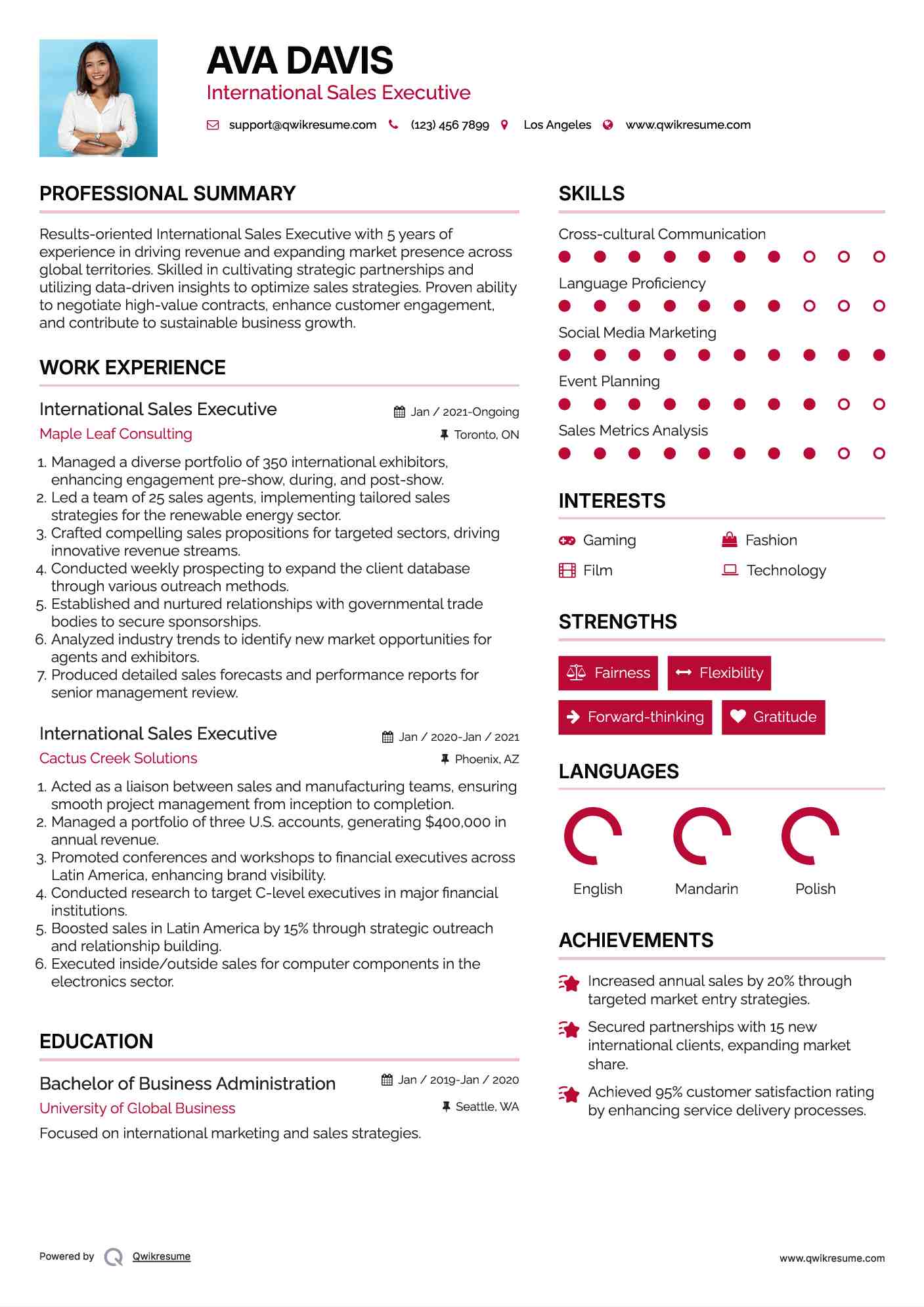 International Sales Executive Resume Format