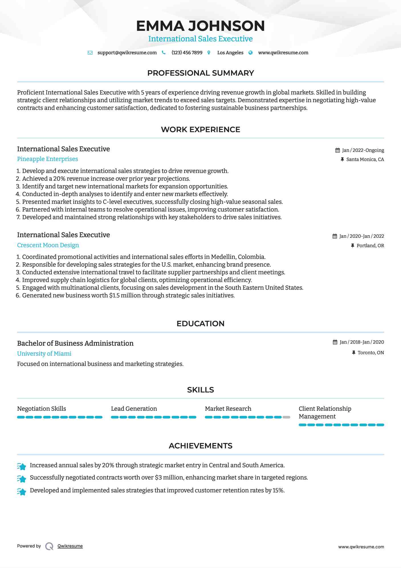 International Sales Executive Resume Model