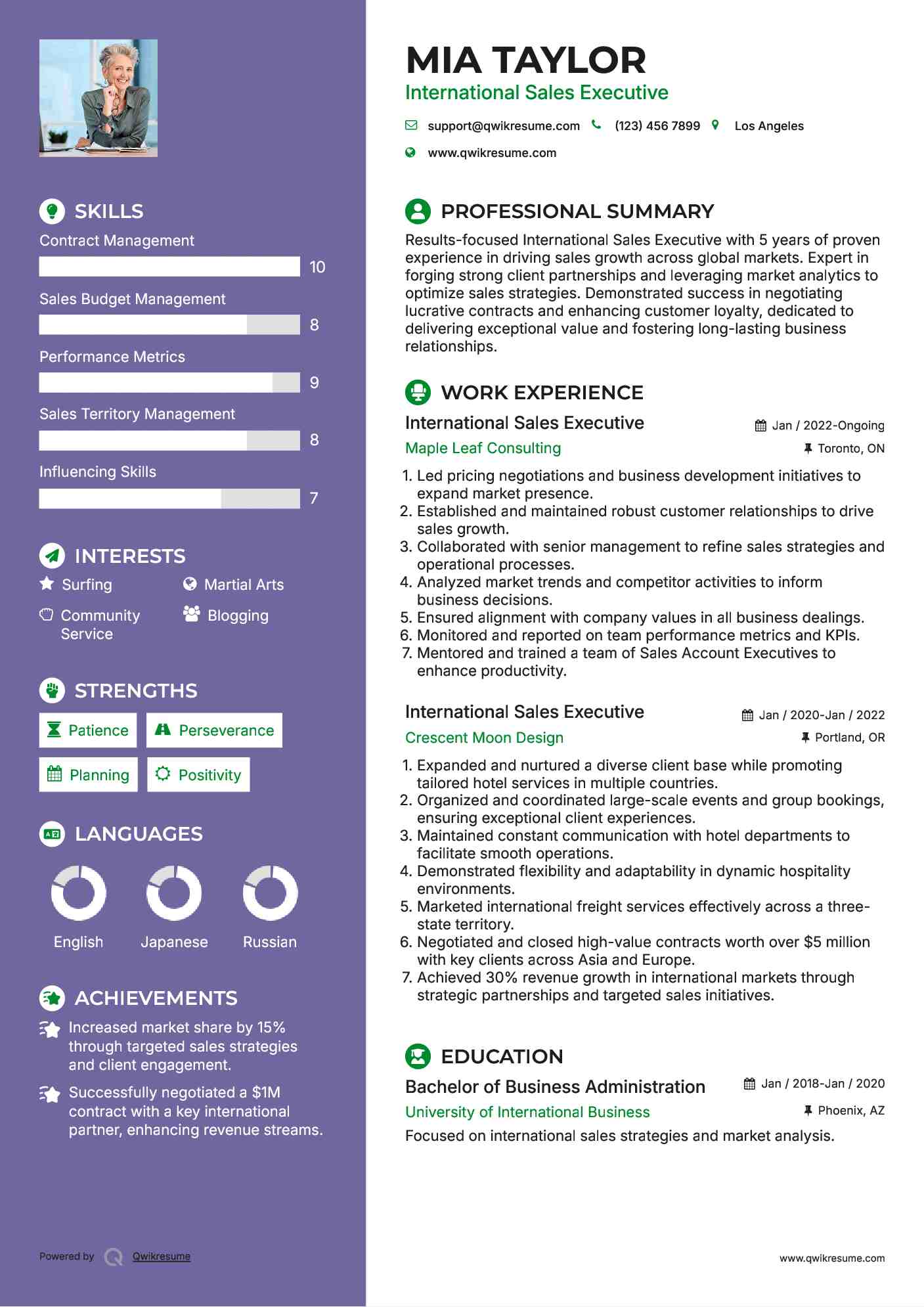 International Sales Executive Resume Example