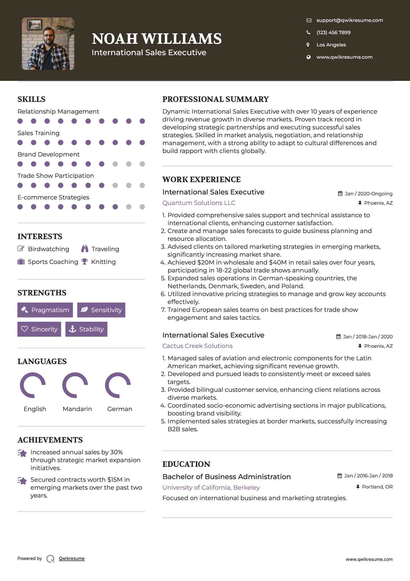 International Sales Executive Resume Template
