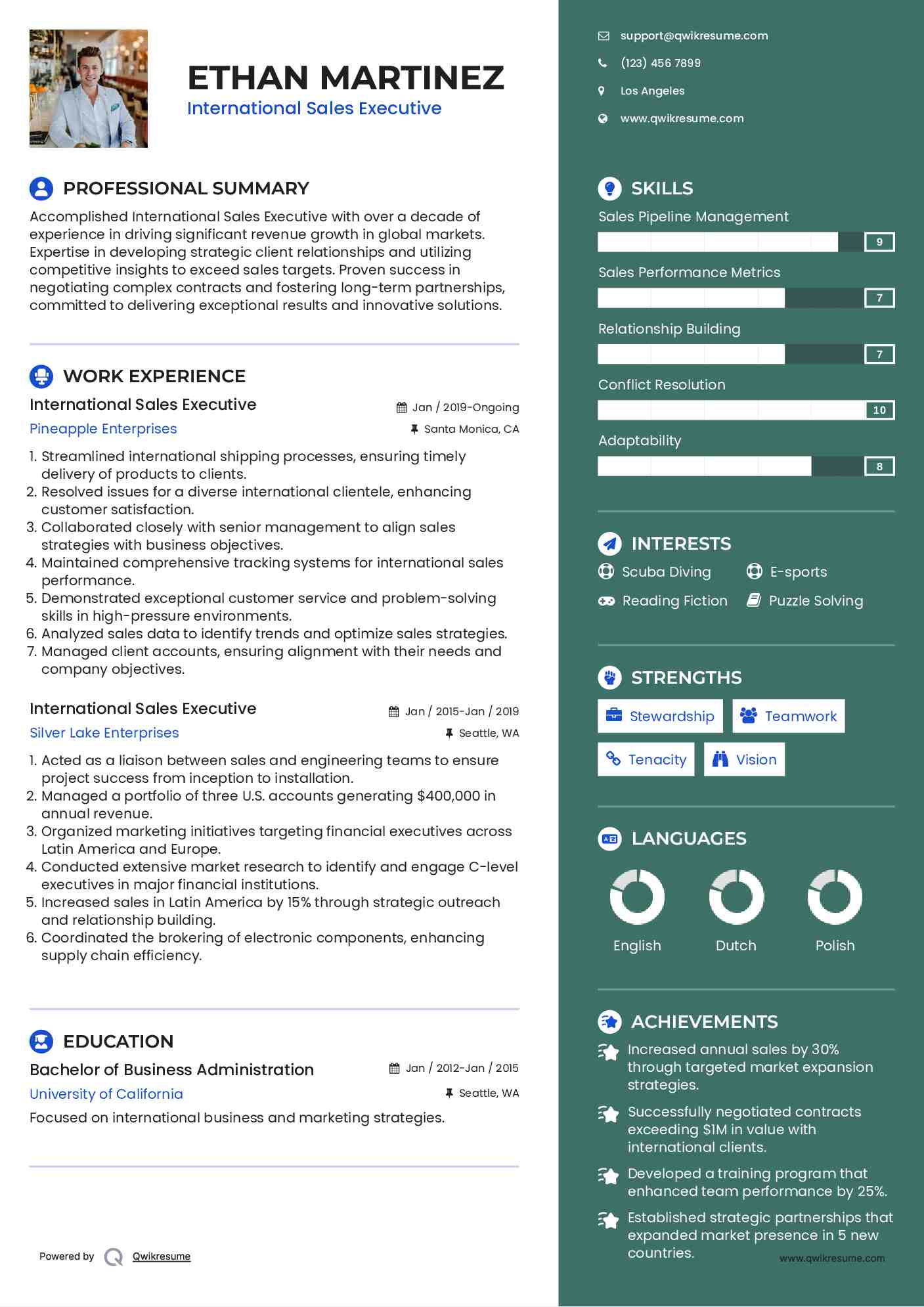 International Sales Executive Resume Format