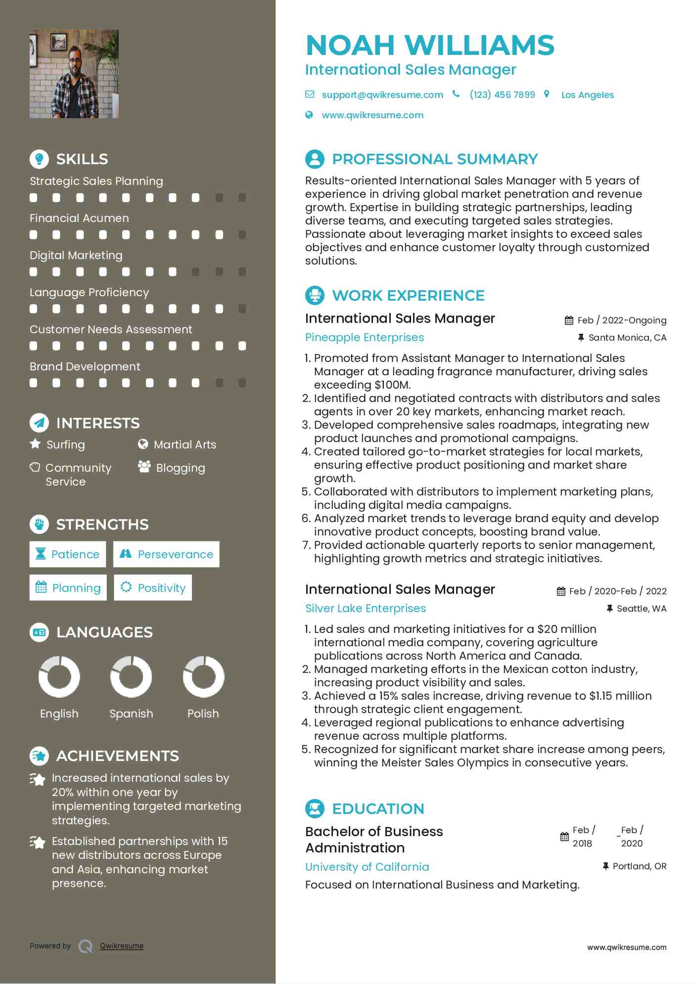 International Sales Manager Resume Model