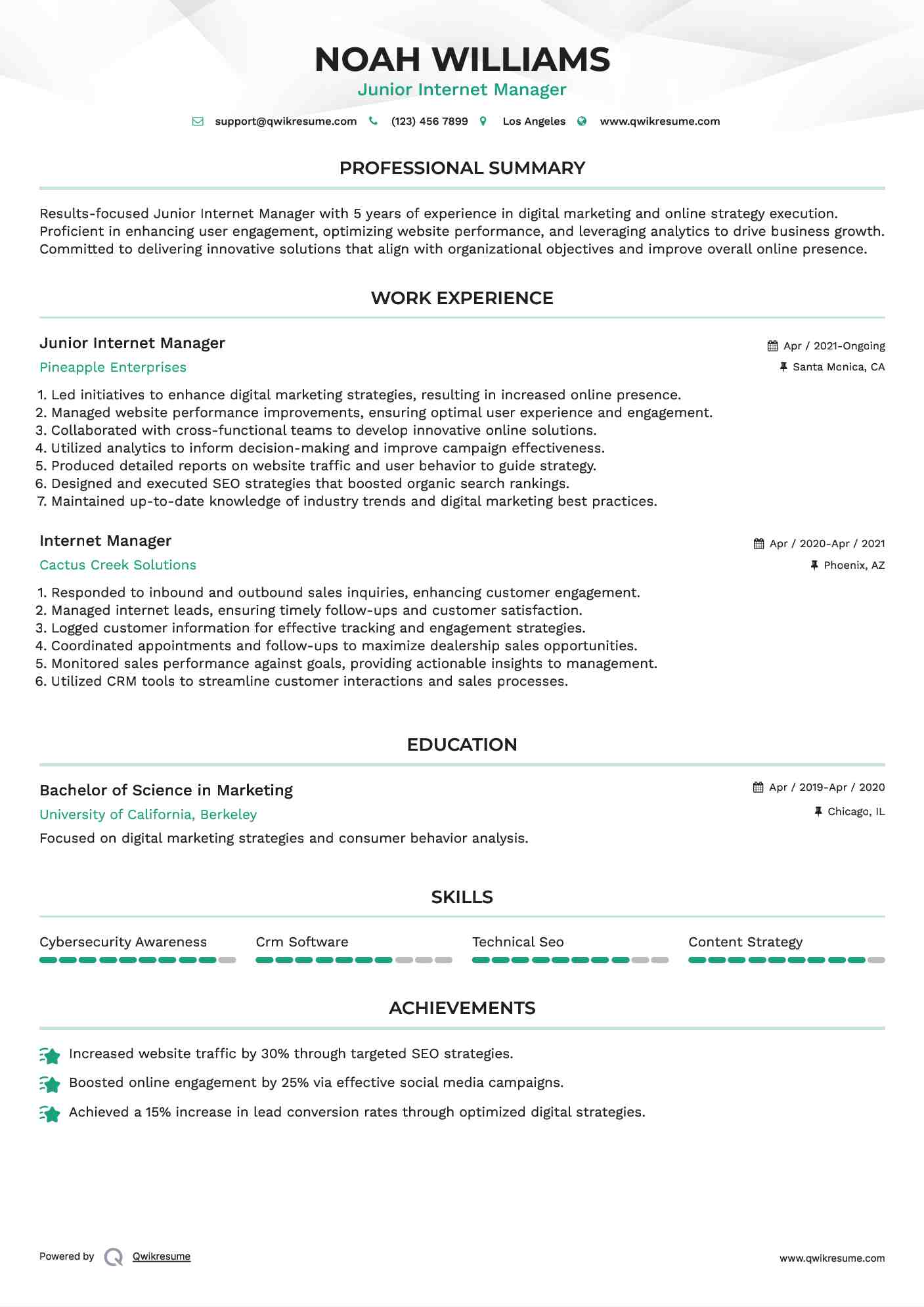 Junior Internet Manager  Resume Example