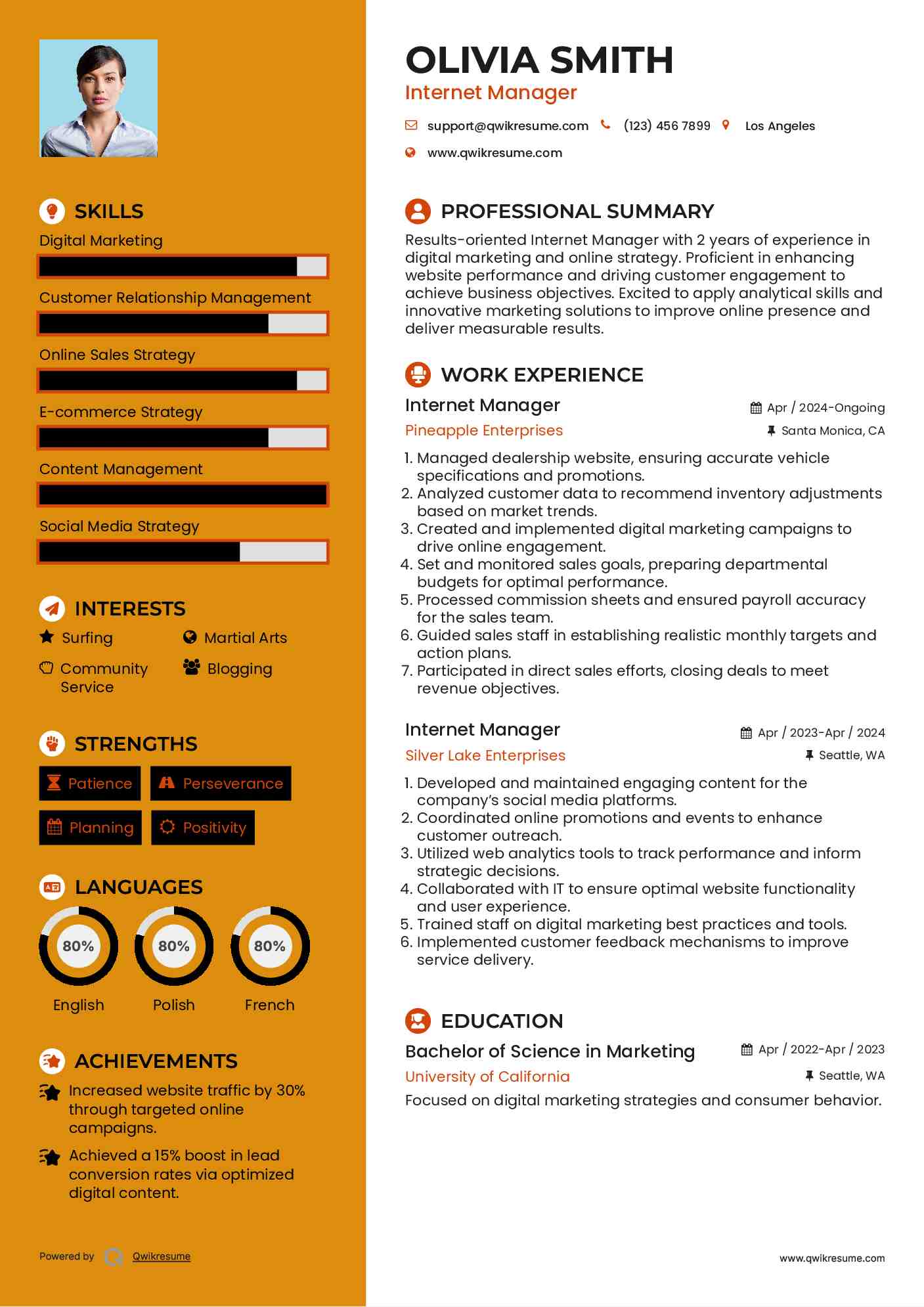 Internet Manager Resume Model