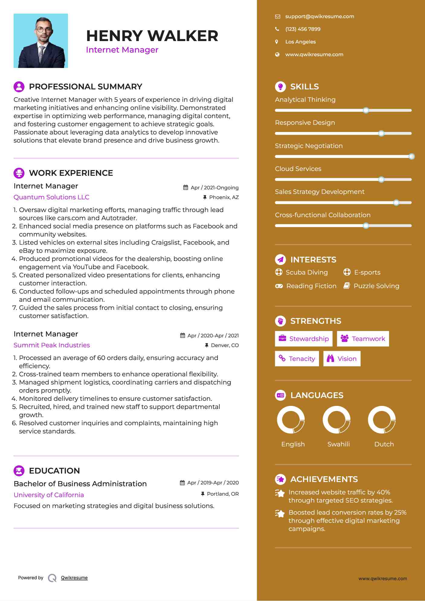 Internet Manager Resume Model