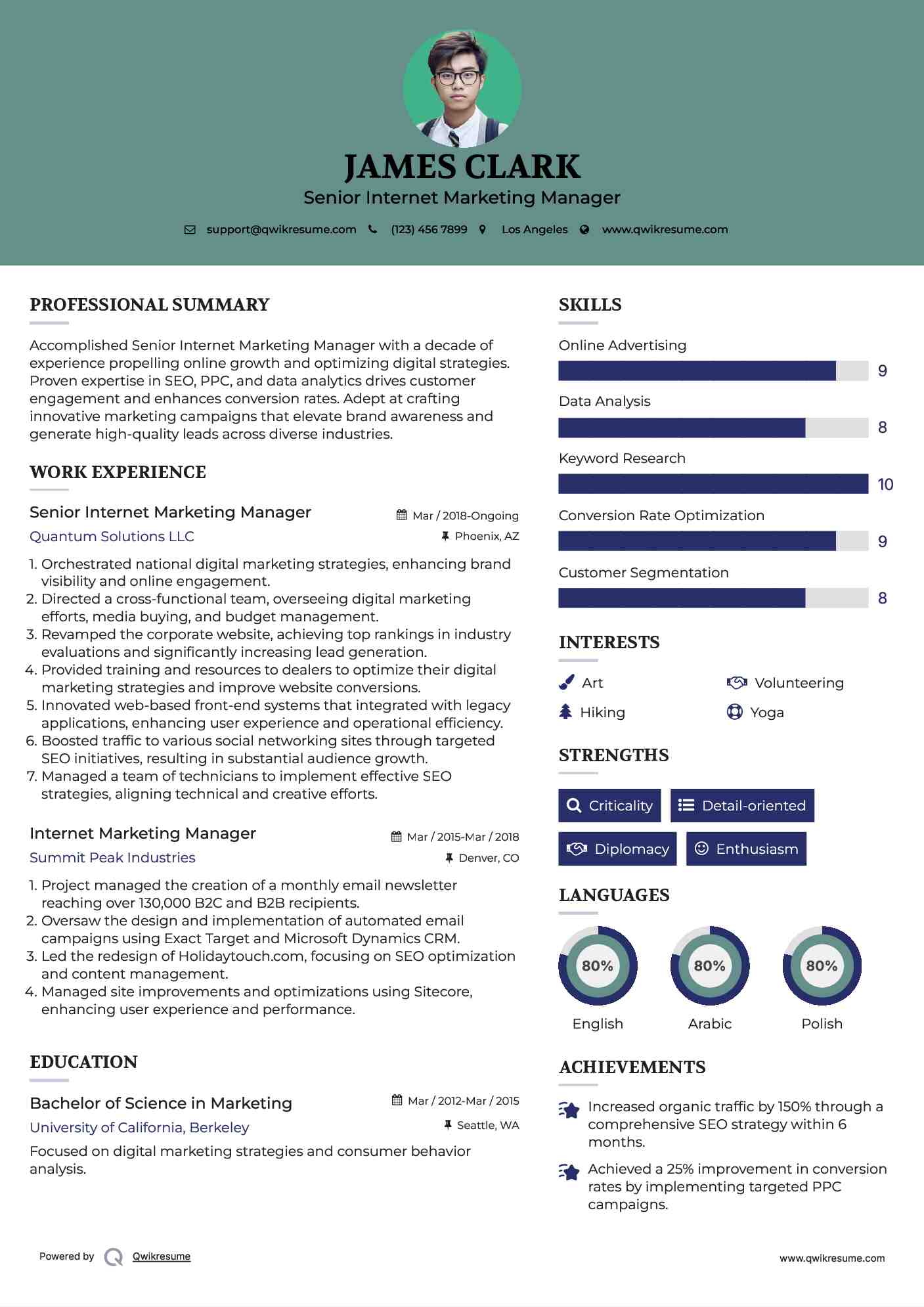 Senior Internet Marketing Manager Resume Template