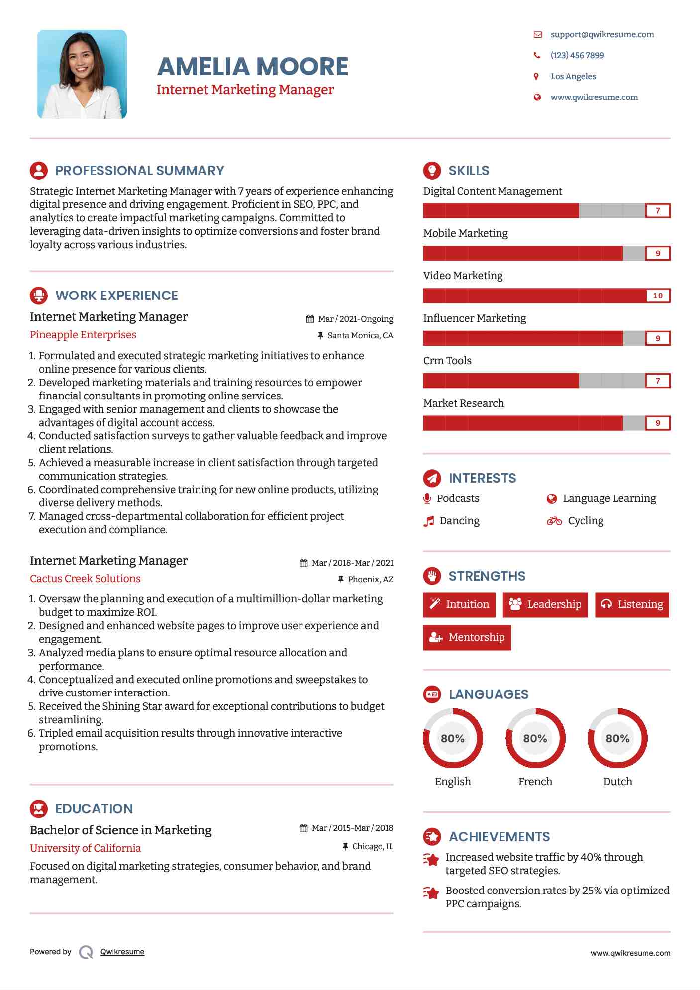 Internet Marketing Manager Resume Model