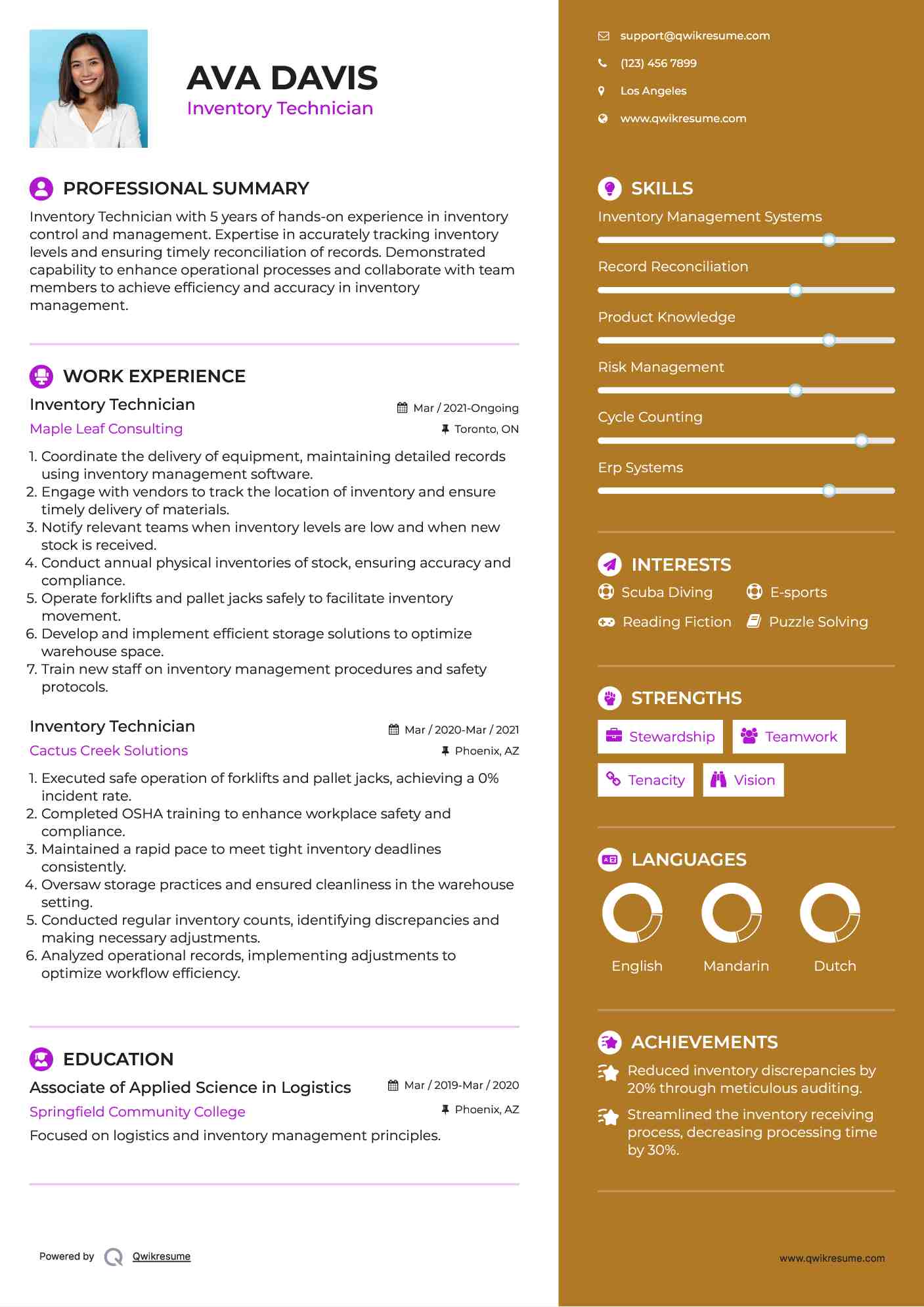 Inventory Technician Resume Template