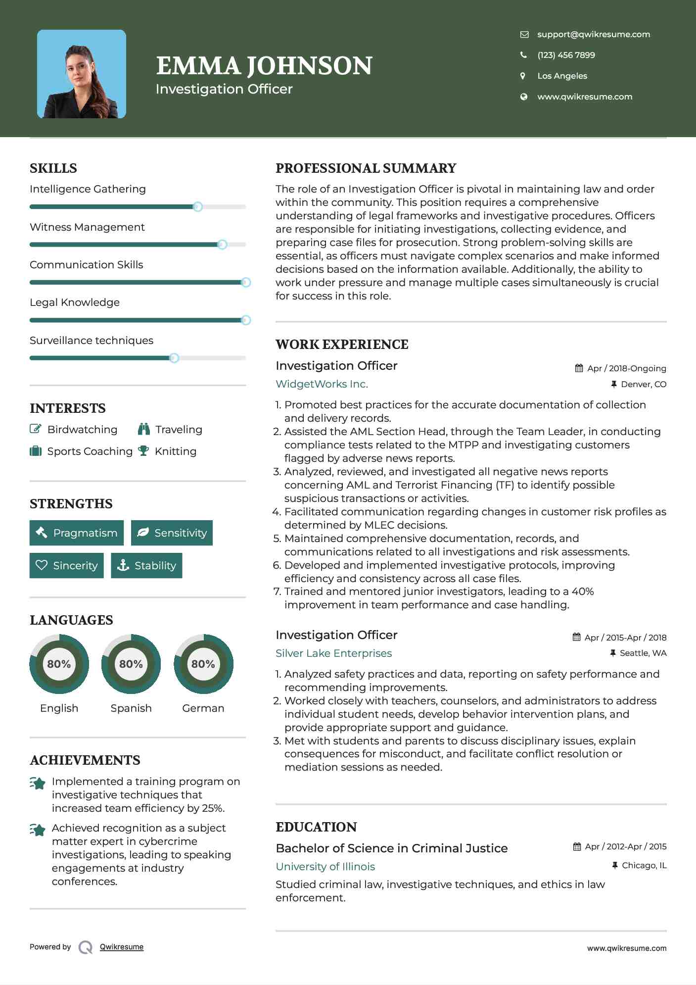  Investigation Officer Resume Example