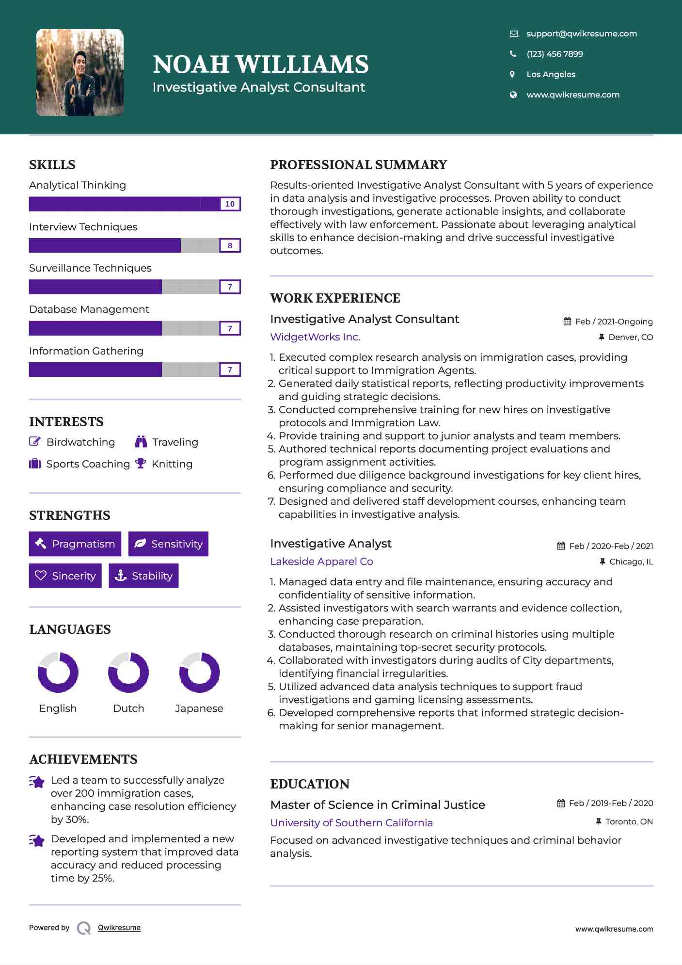 Investigative Analyst Consultant Resume Example