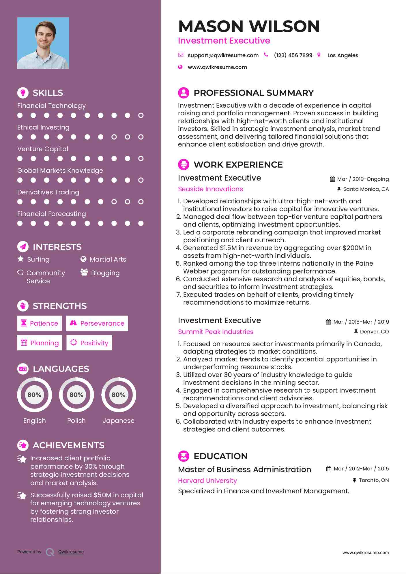 Investment Executive Resume Example