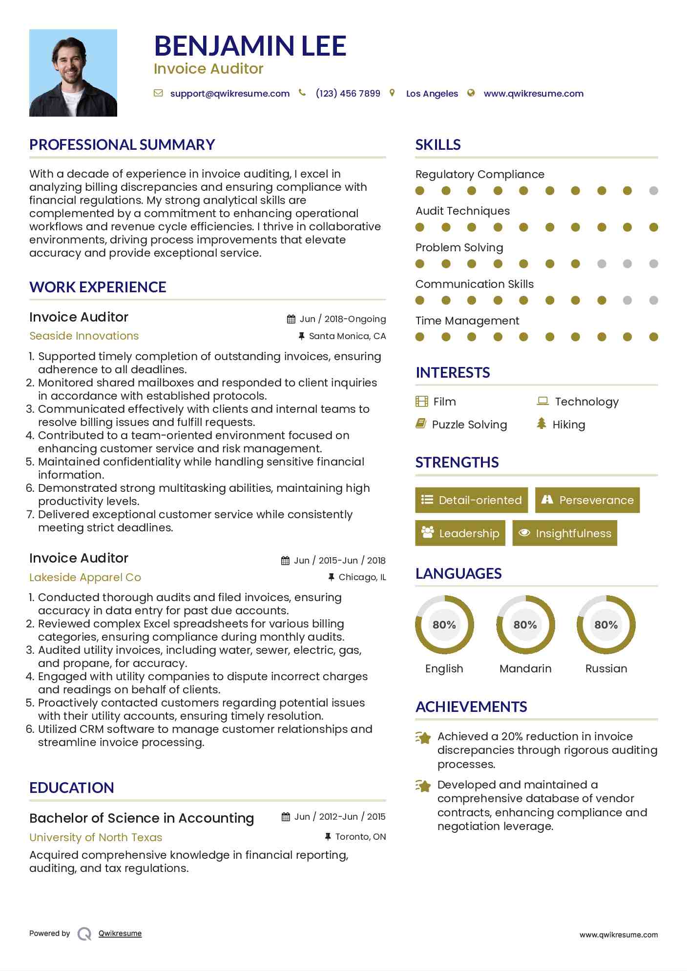 Invoice Auditor Resume Format