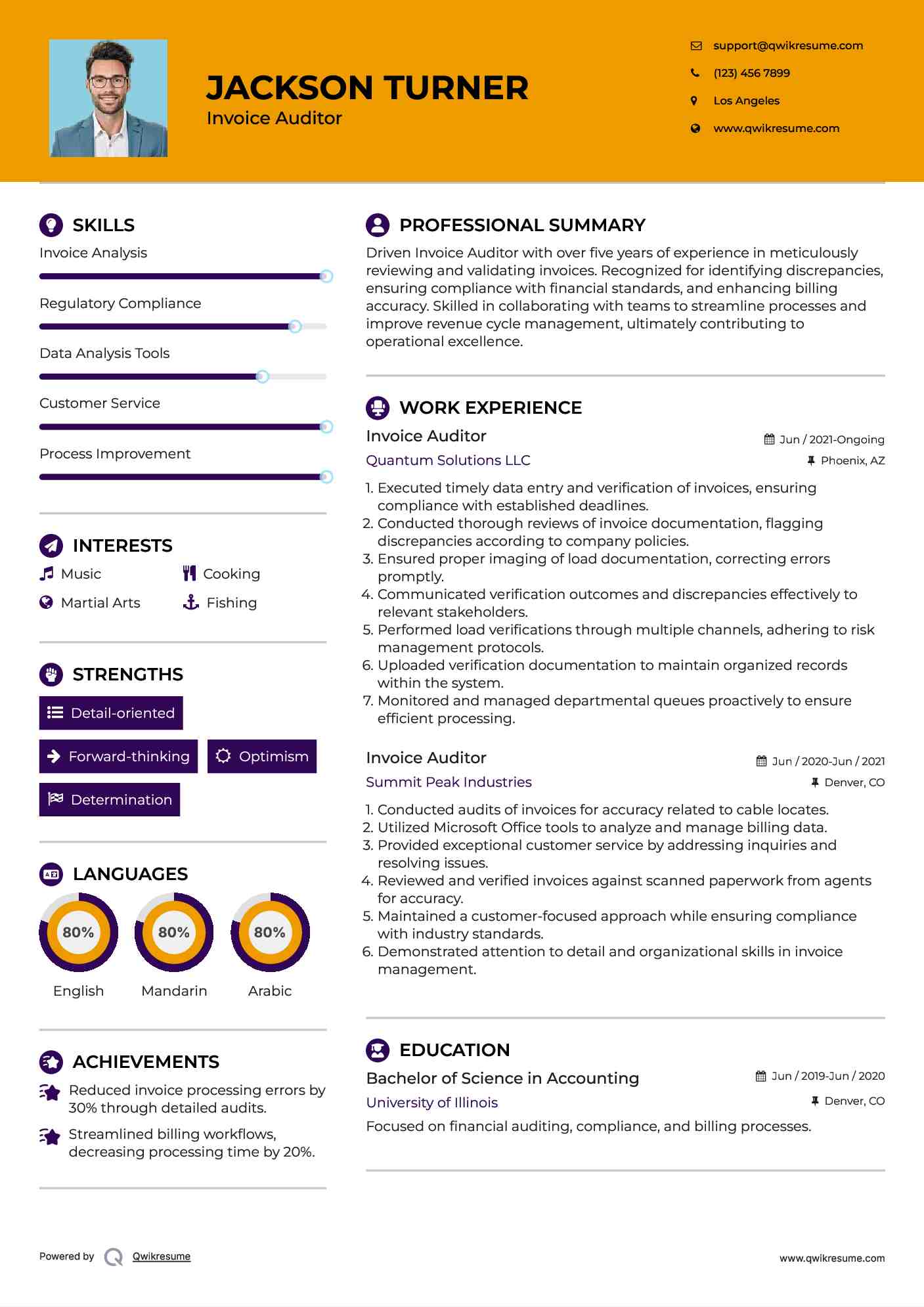 Invoice Auditor Resume Model