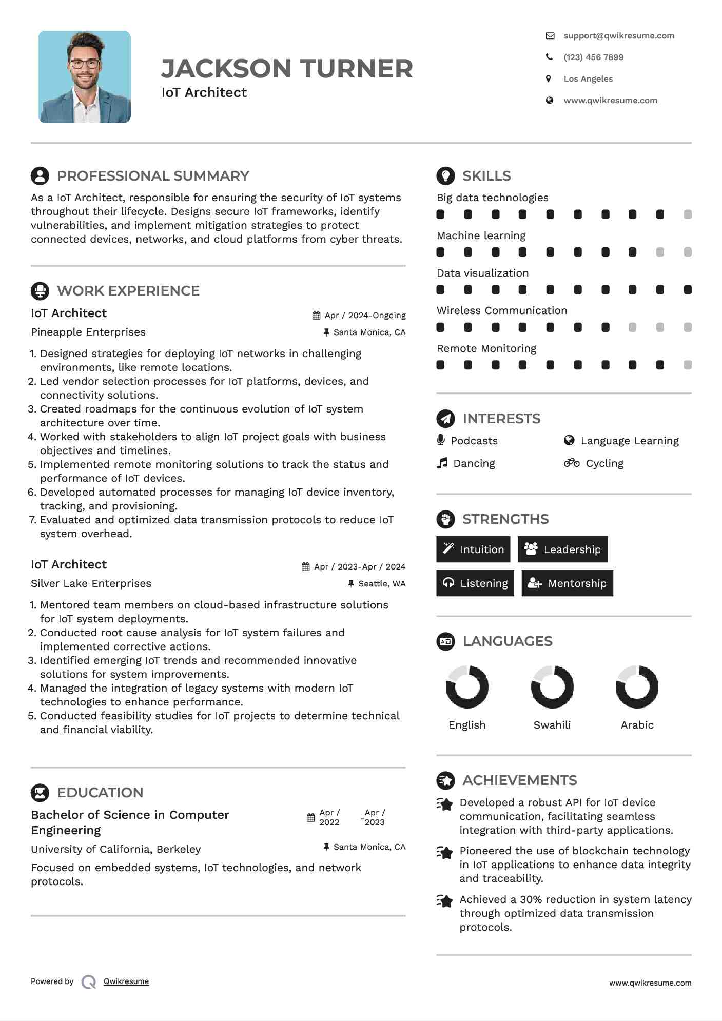 IoT Architect Resume Template