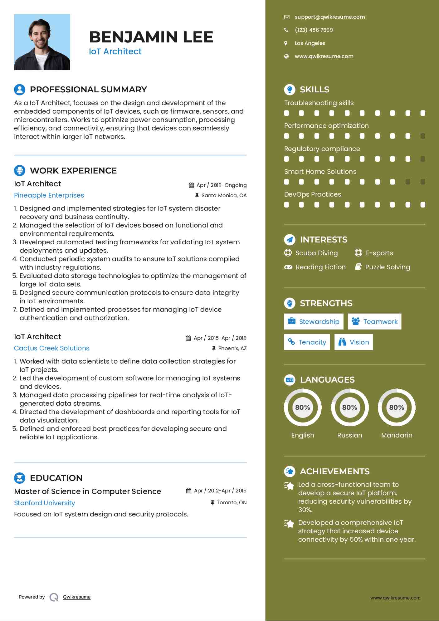 IoT Architect Resume Format
