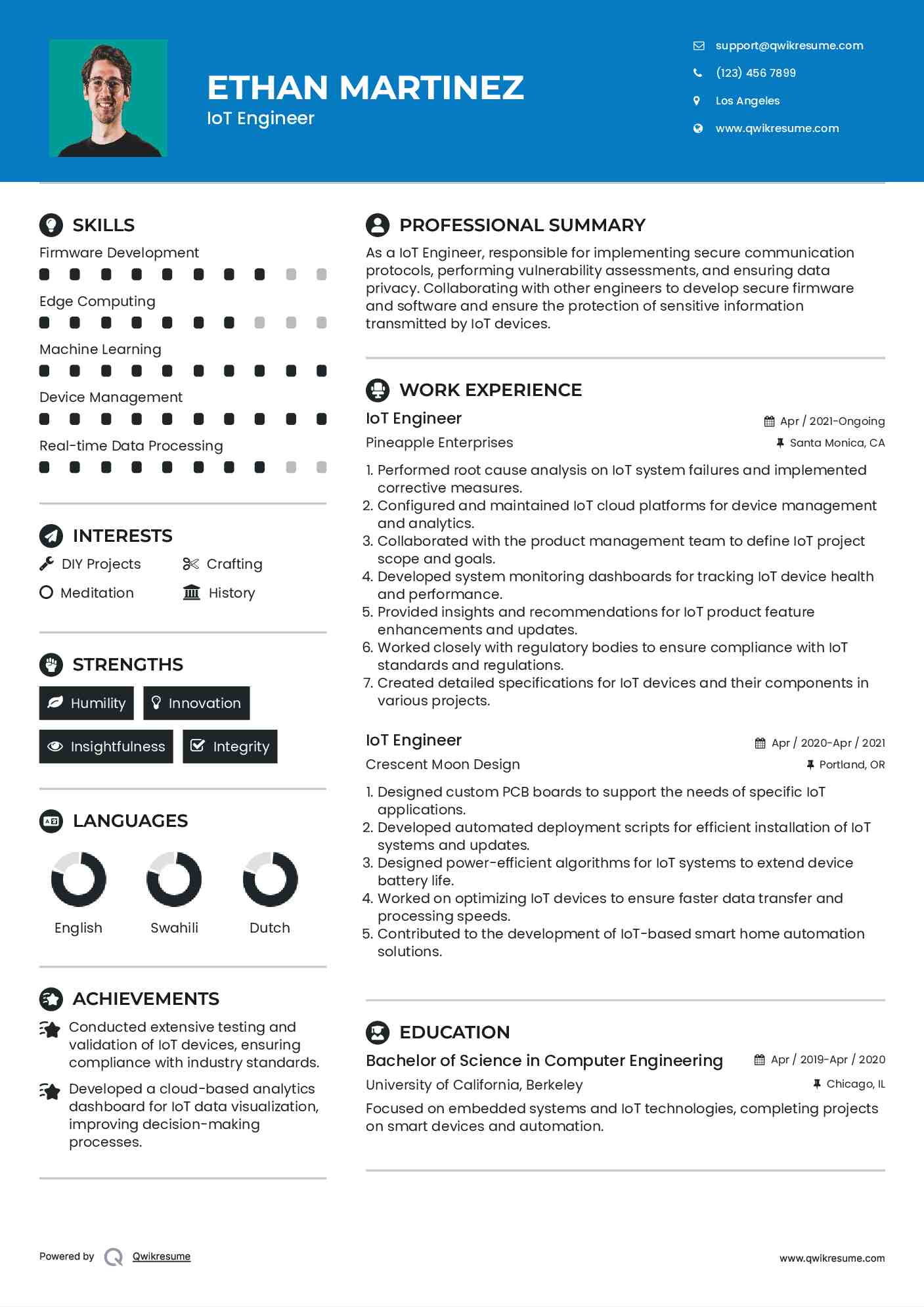 IoT Engineer Resume Model