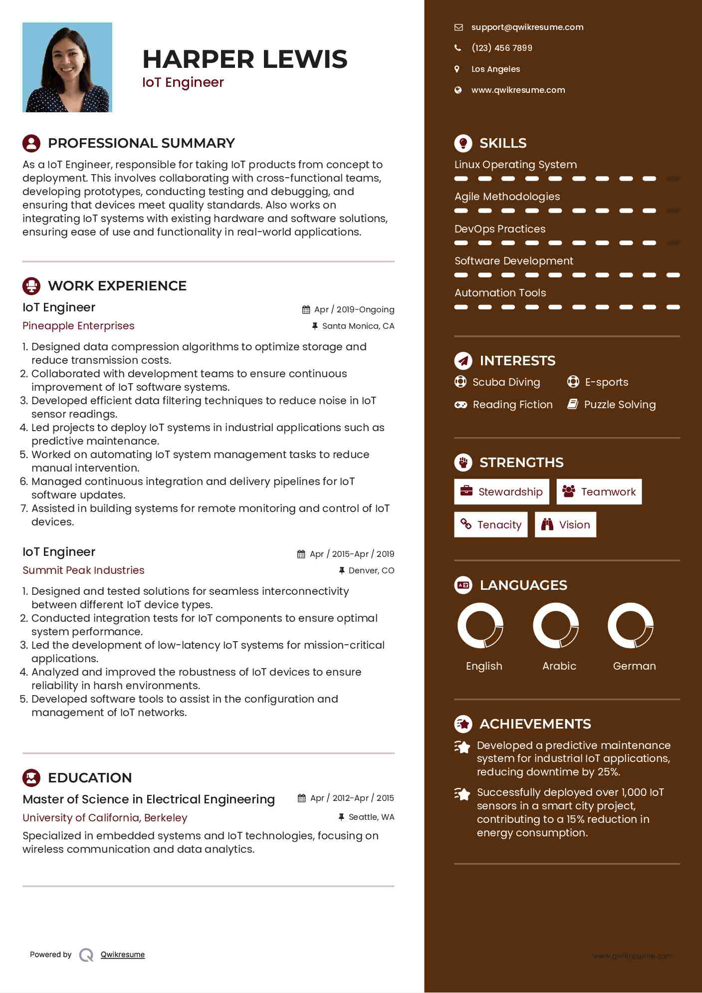 IoT Engineer Resume Format