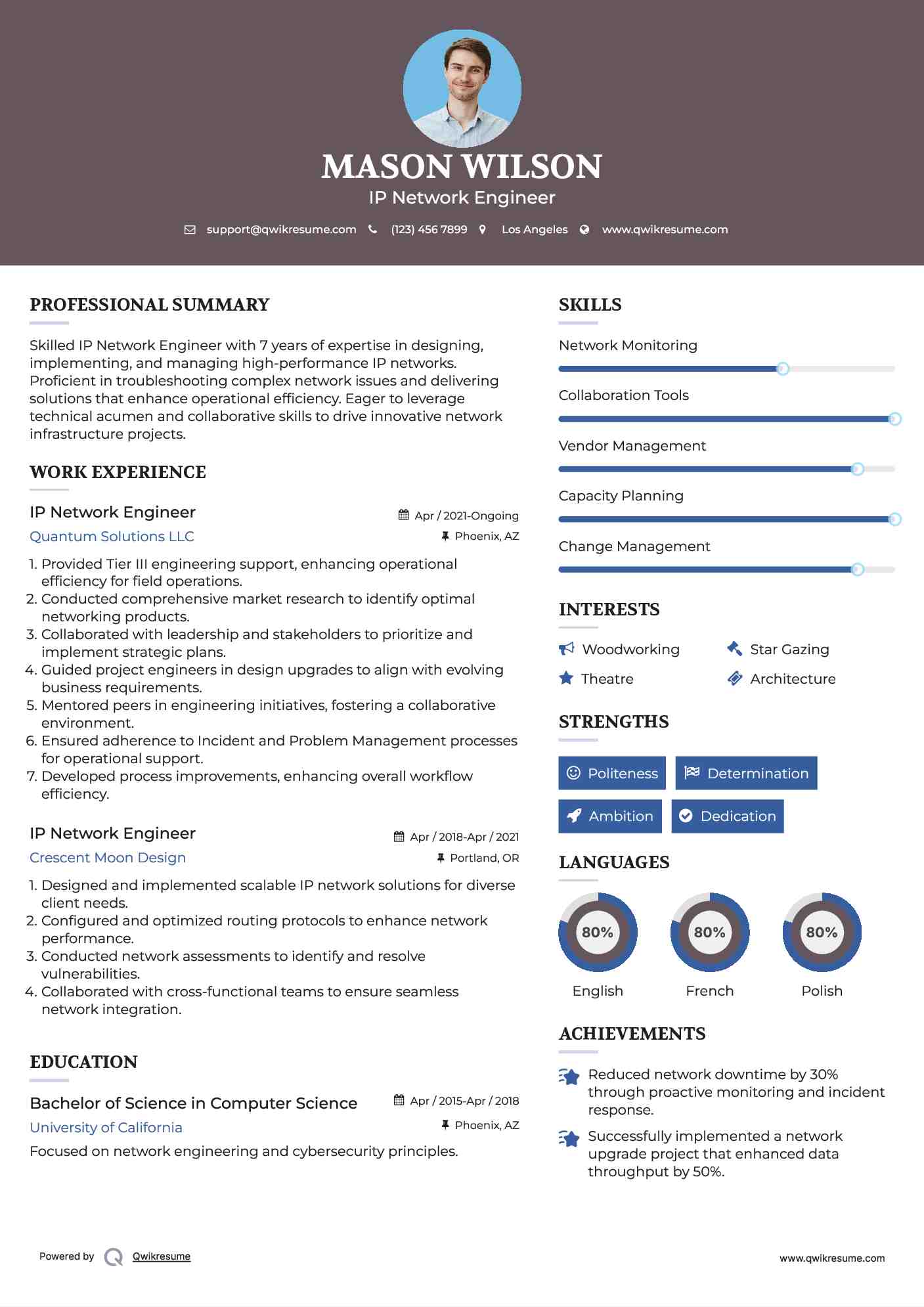 IP Network Engineer Resume Example