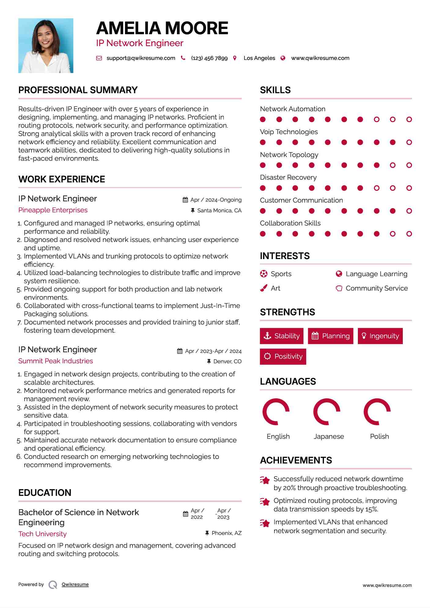 IP Network Engineer Resume Format